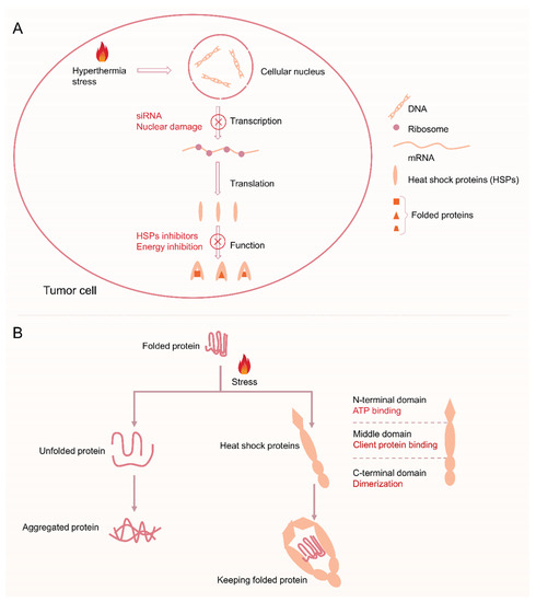 Pharmaceutics 14 02279 g002 550