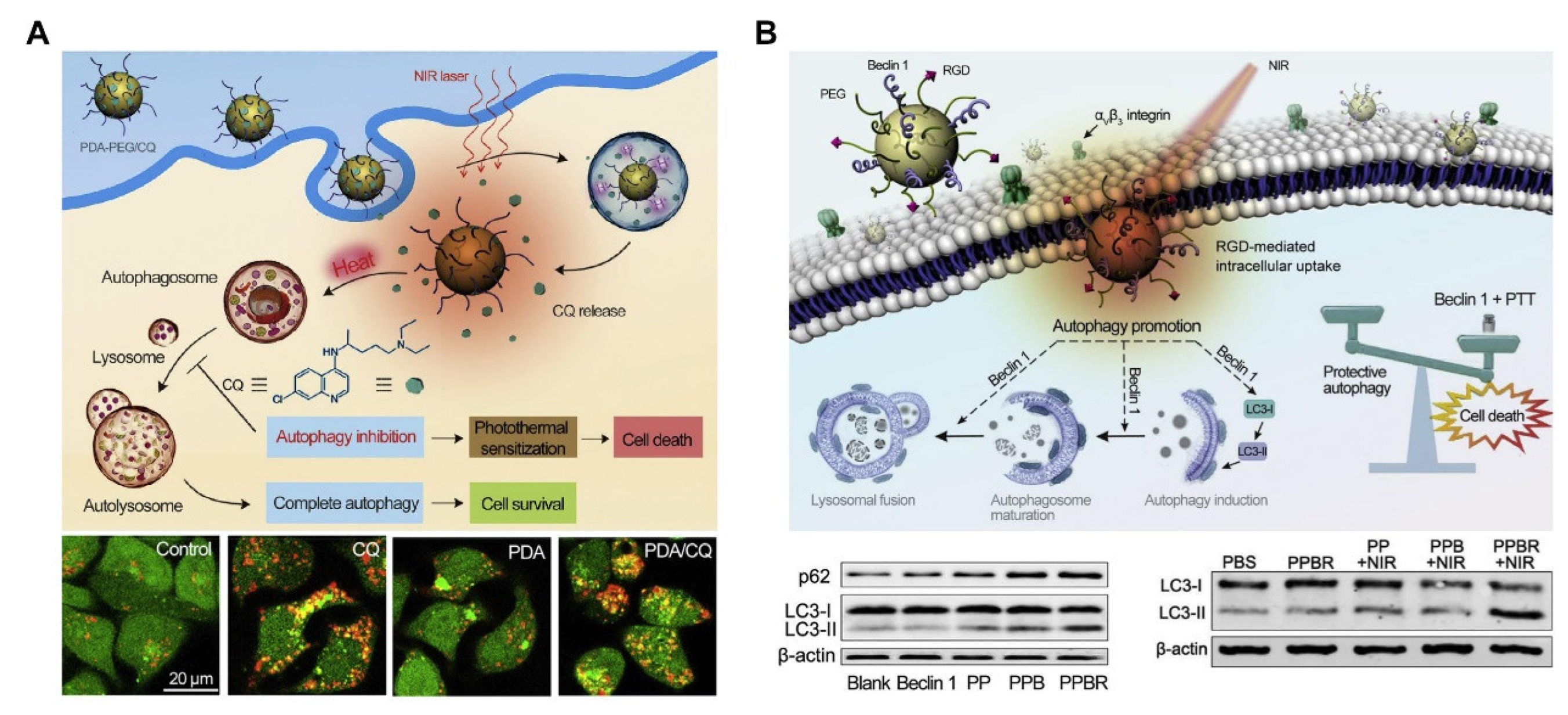 Pharmaceutics 14 02279 g007 Pharmaceutics 14 02279 g007