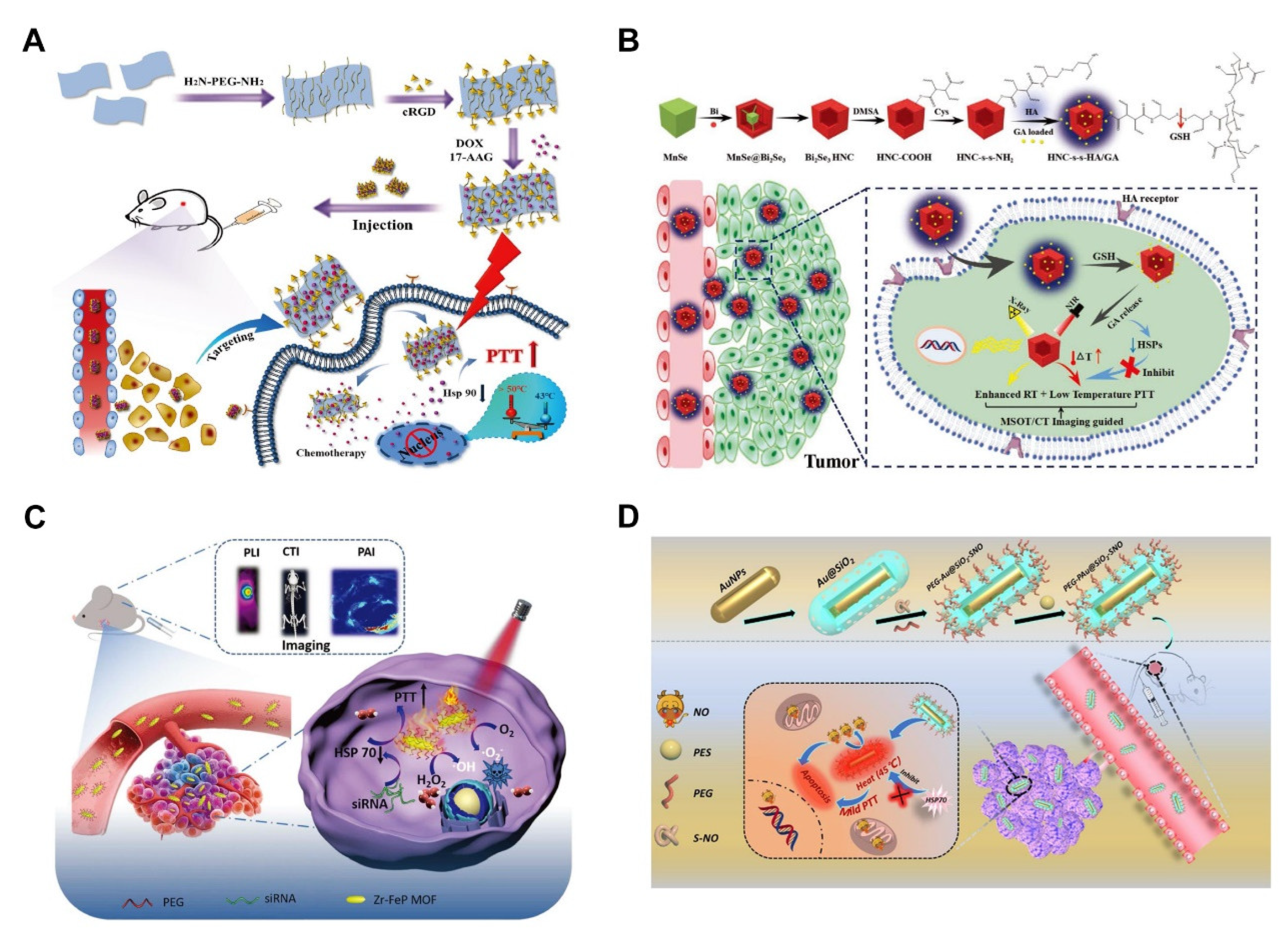 Pharmaceutics 14 02279 g008 Pharmaceutics 14 02279 g008
