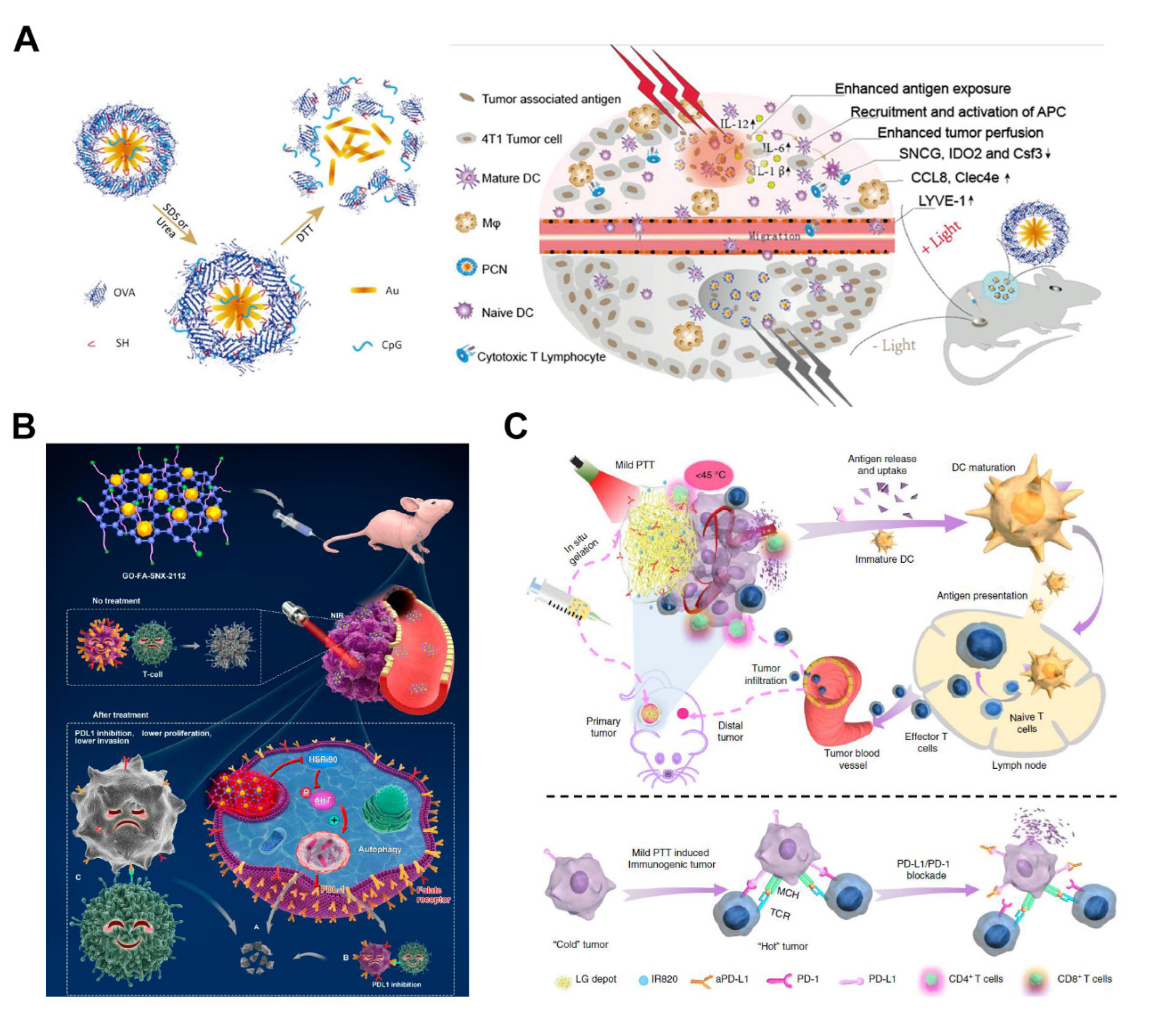 Pharmaceutics 14 02279 g009 Pharmaceutics 14 02279 g009