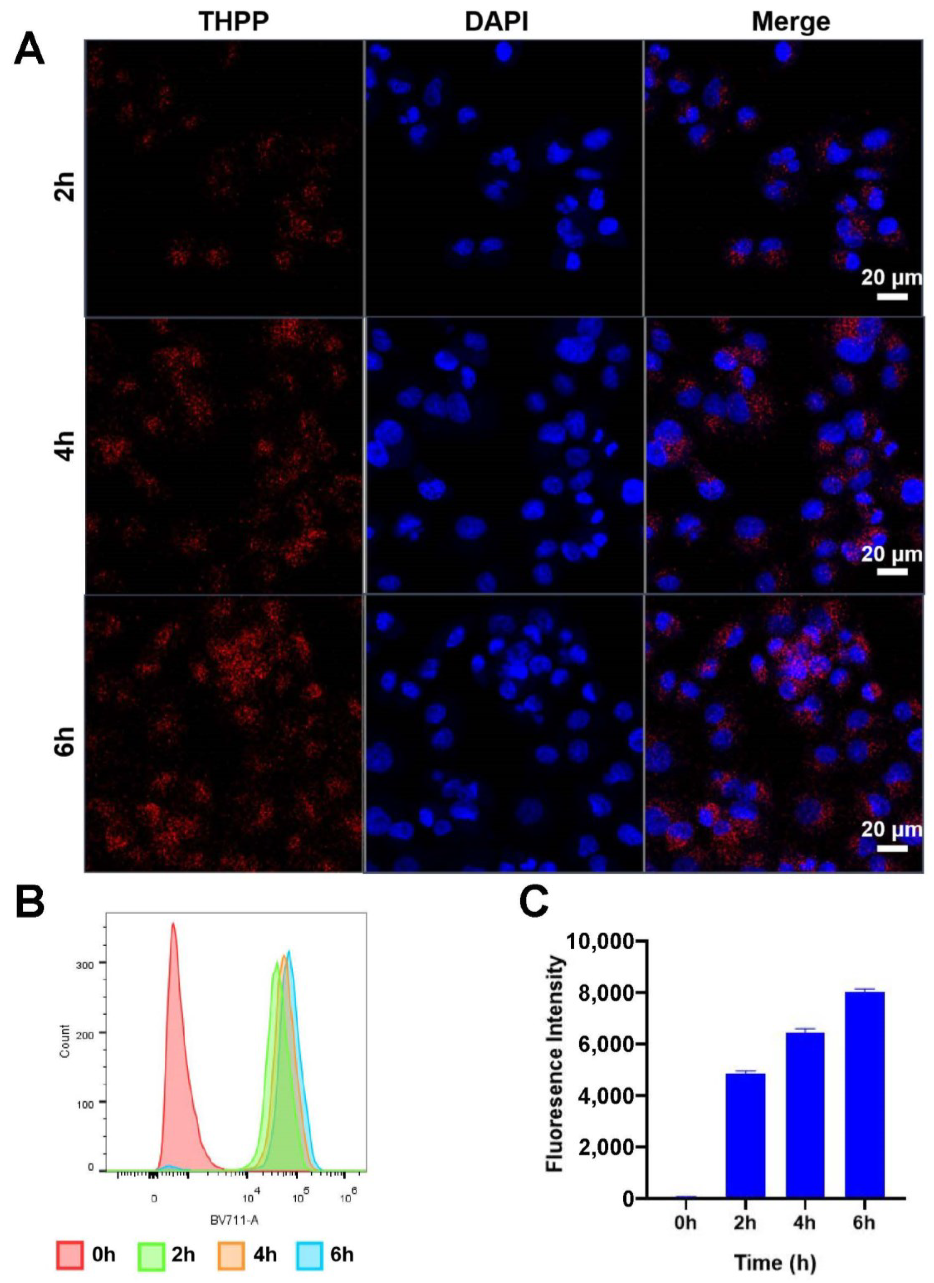 Pharmaceutics 14 02280 g002 Pharmaceutics 14 02280 g002