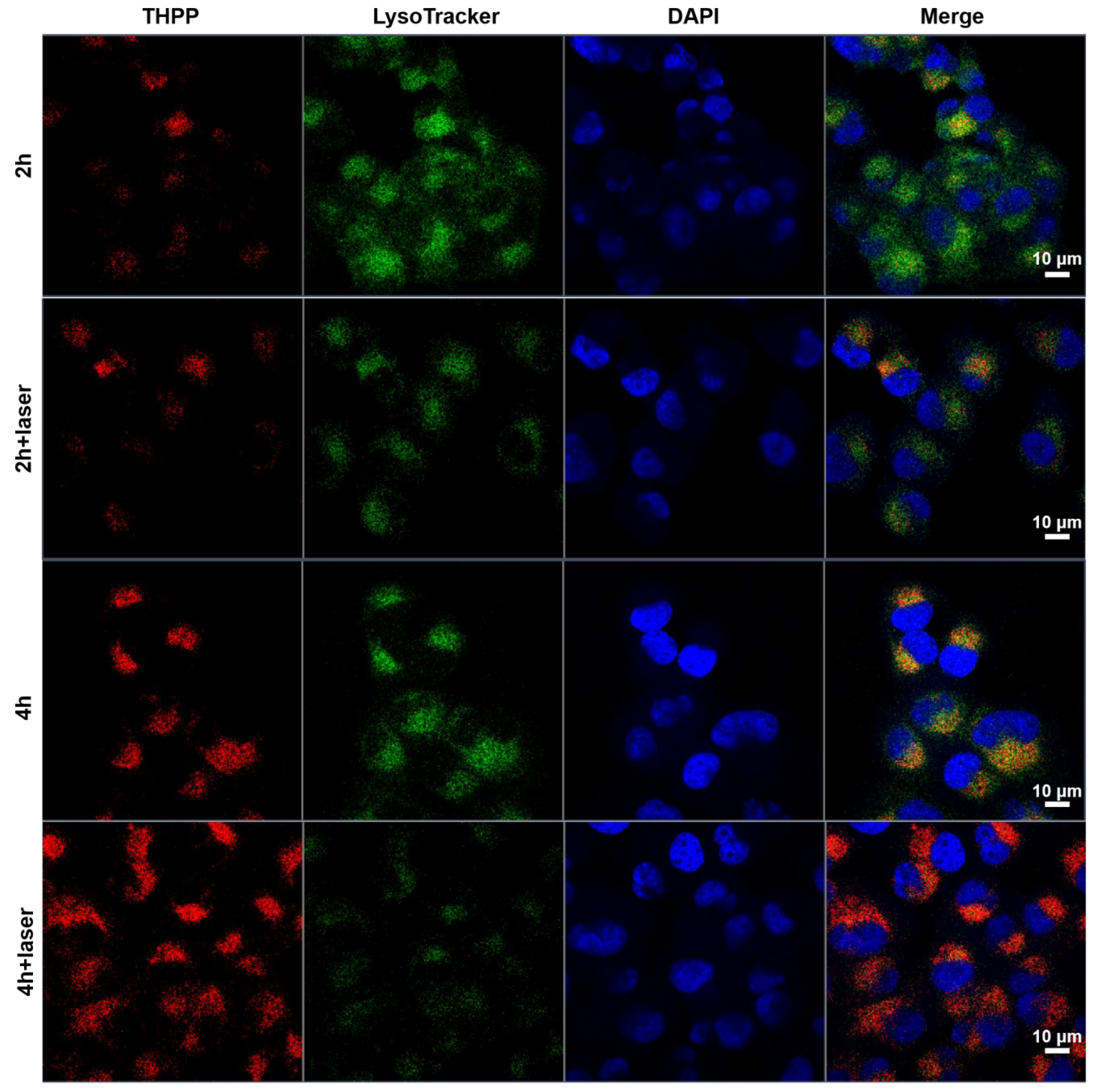 Pharmaceutics 14 02280 g004 Pharmaceutics 14 02280 g004