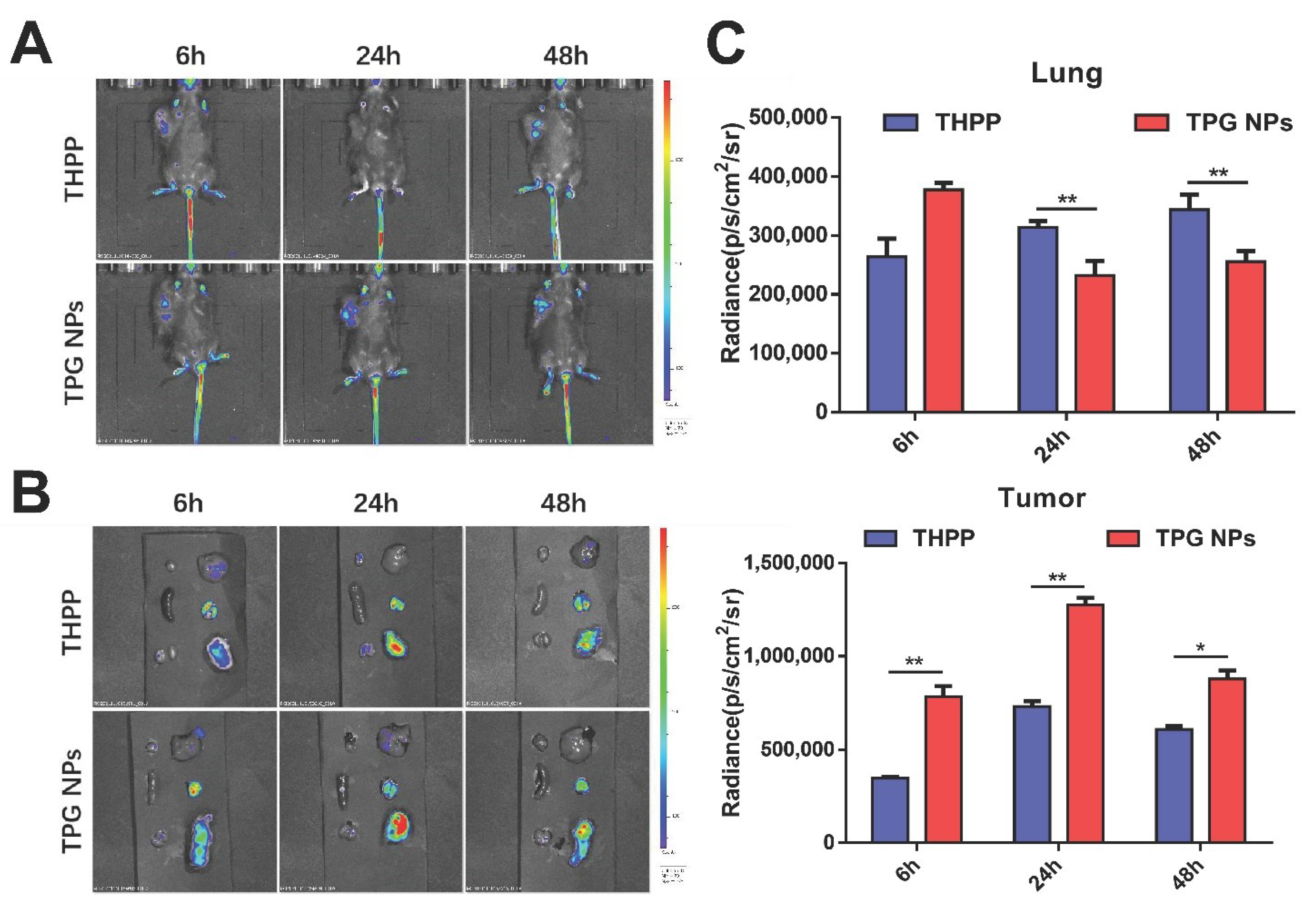 Pharmaceutics 14 02280 g006 Pharmaceutics 14 02280 g006