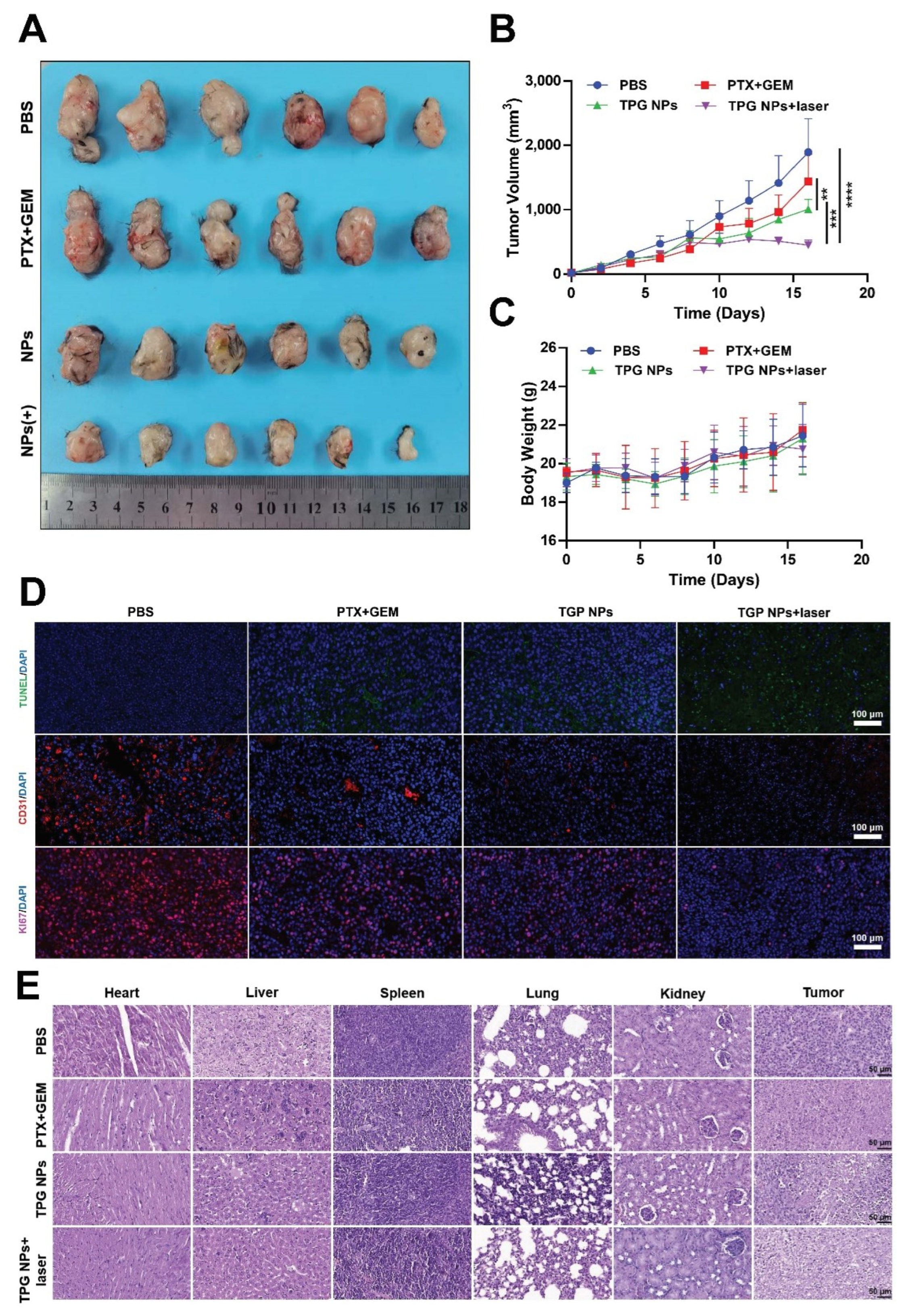 Pharmaceutics 14 02280 g007 Pharmaceutics 14 02280 g007
