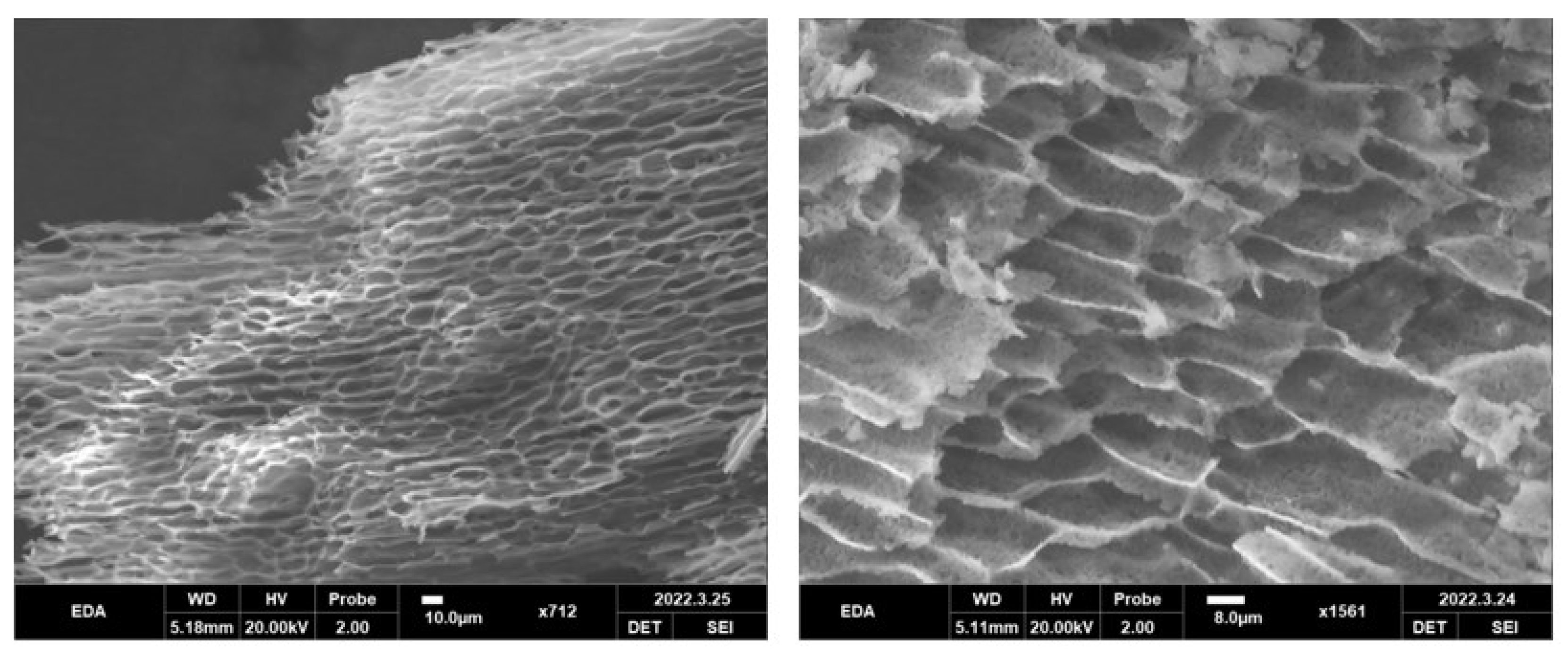 Pharmaceutics 14 02281 g005