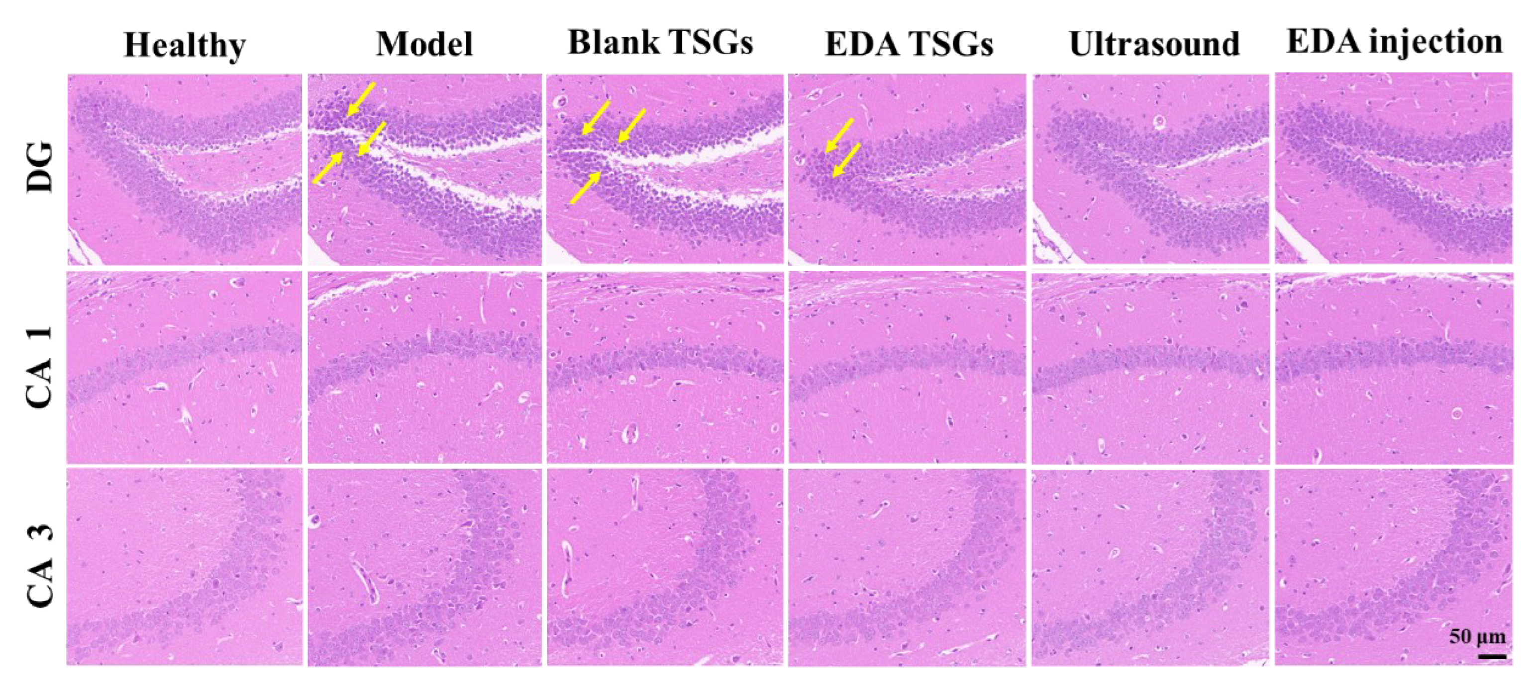 Pharmaceutics 14 02281 g011