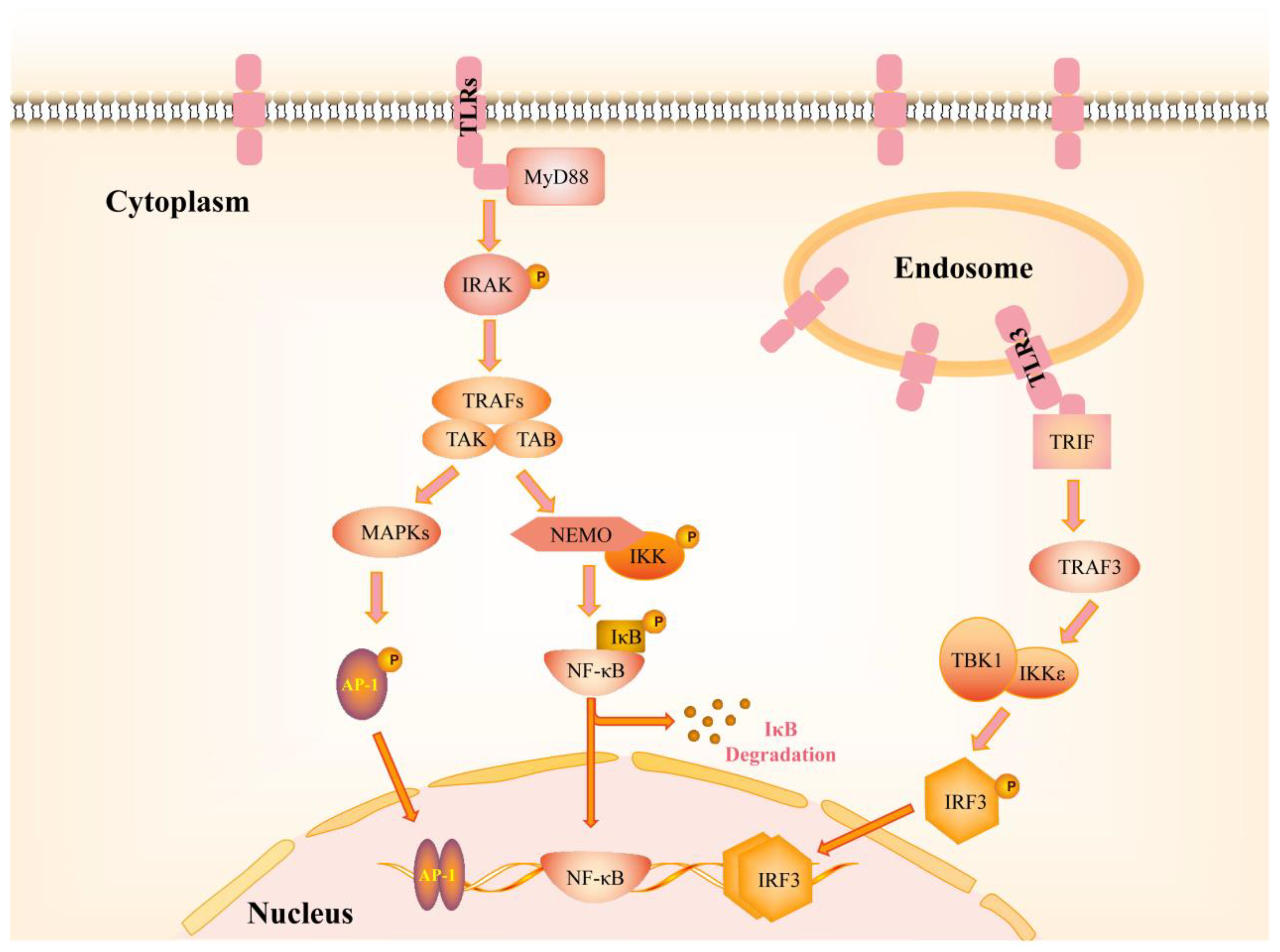 Pharmaceutics 14 02285 g001 Pharmaceutics 14 02285 g001