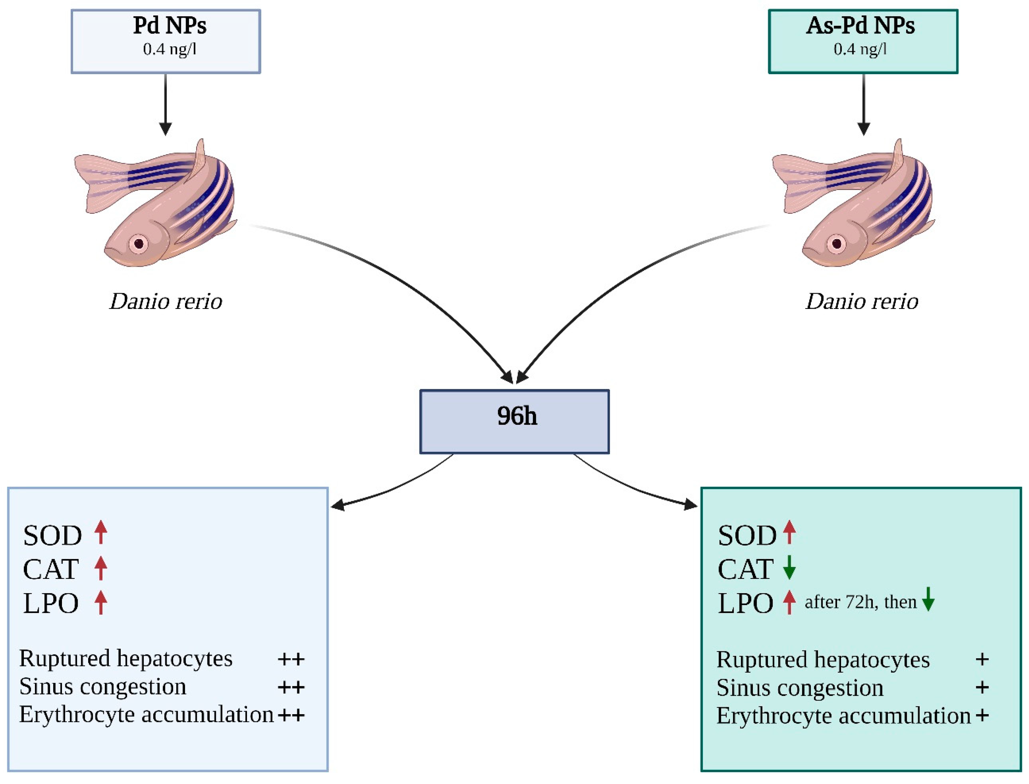 Pharmaceutics 14 02286 g004 Pharmaceutics 14 02286 g004