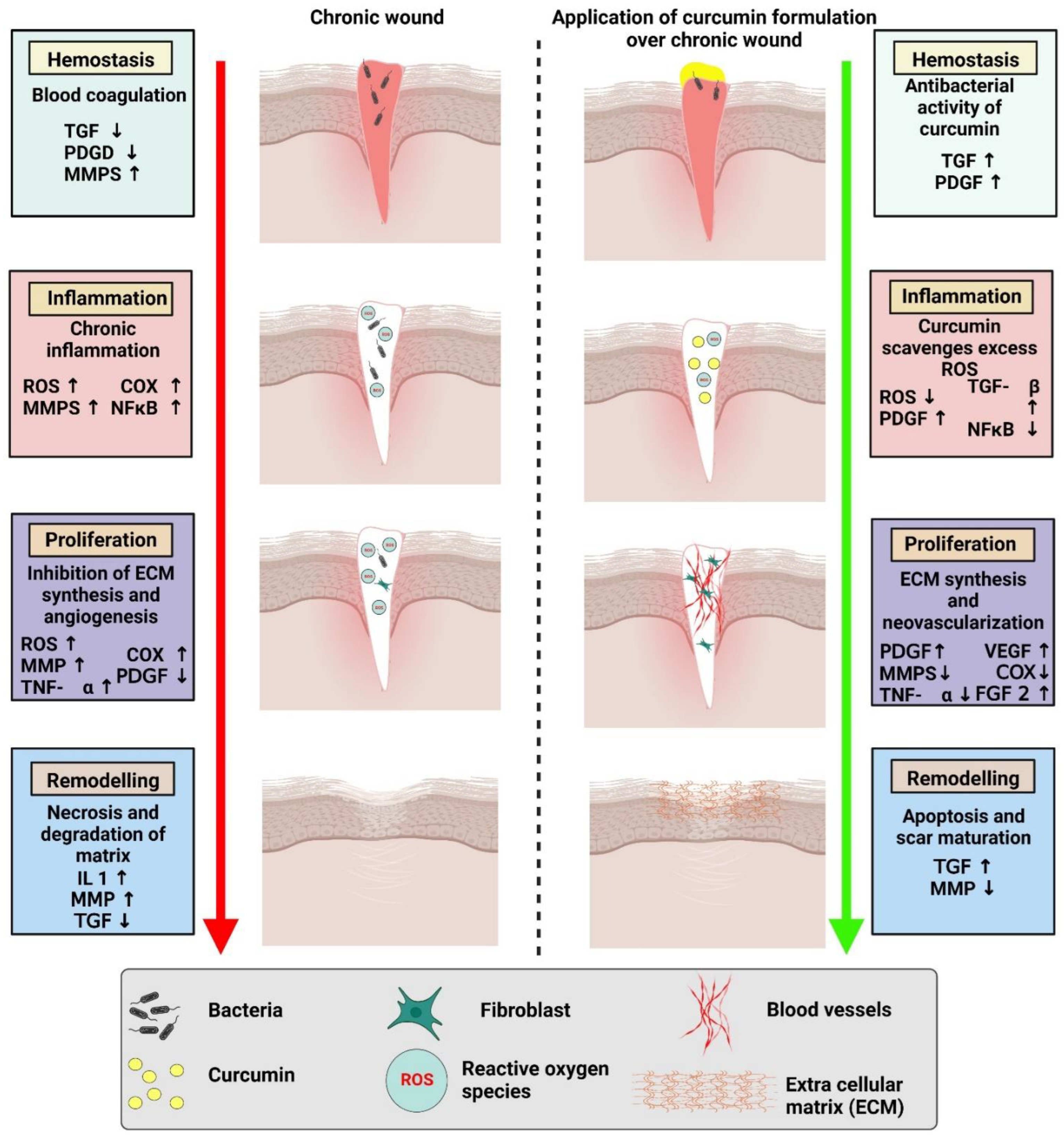 Pharmaceutics 14 02288 g002