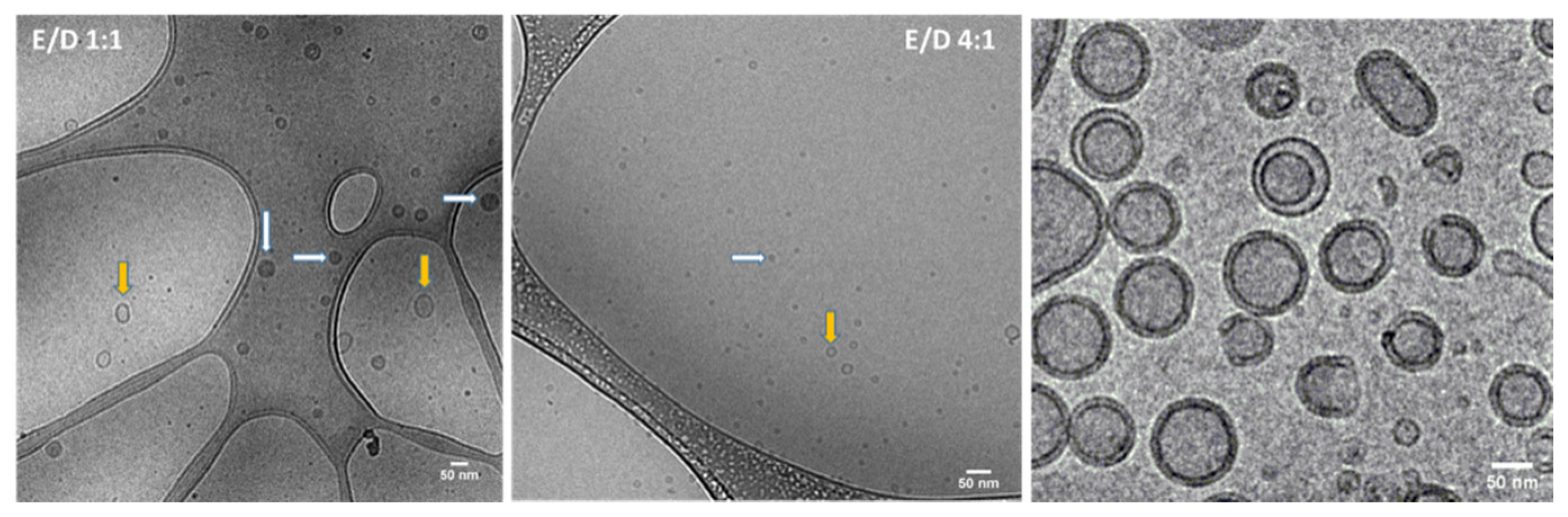 Pharmaceutics 14 02291 g001 Pharmaceutics 14 02291 g001