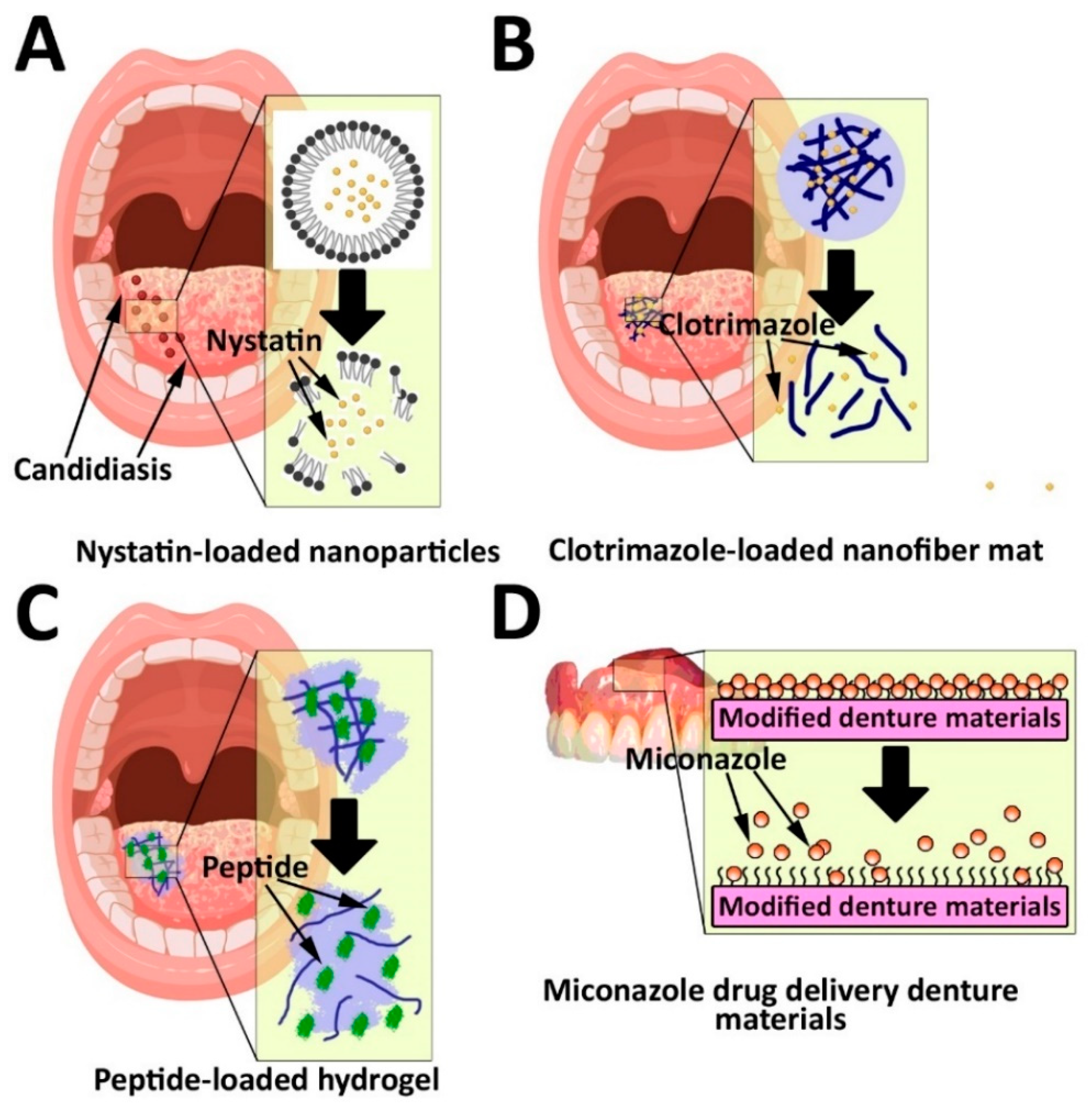 Pharmaceutics 14 02293 g004