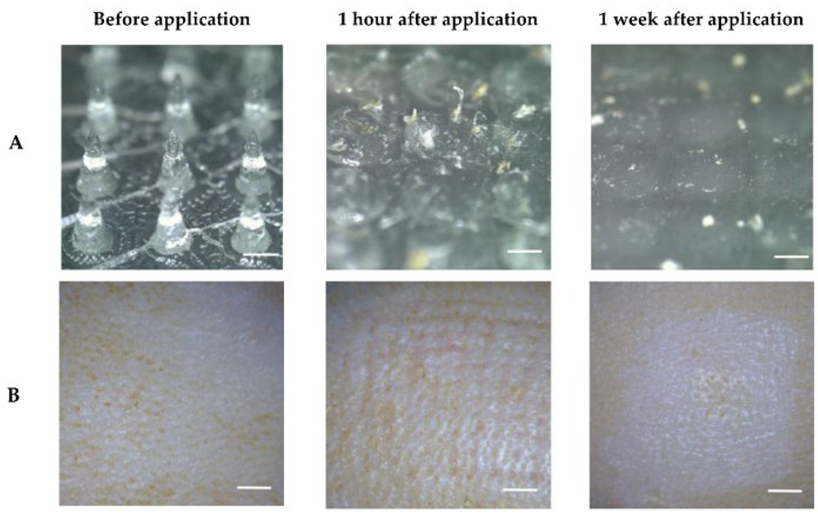 Pharmaceutics 14 02296 g006 Pharmaceutics 14 02296 g006