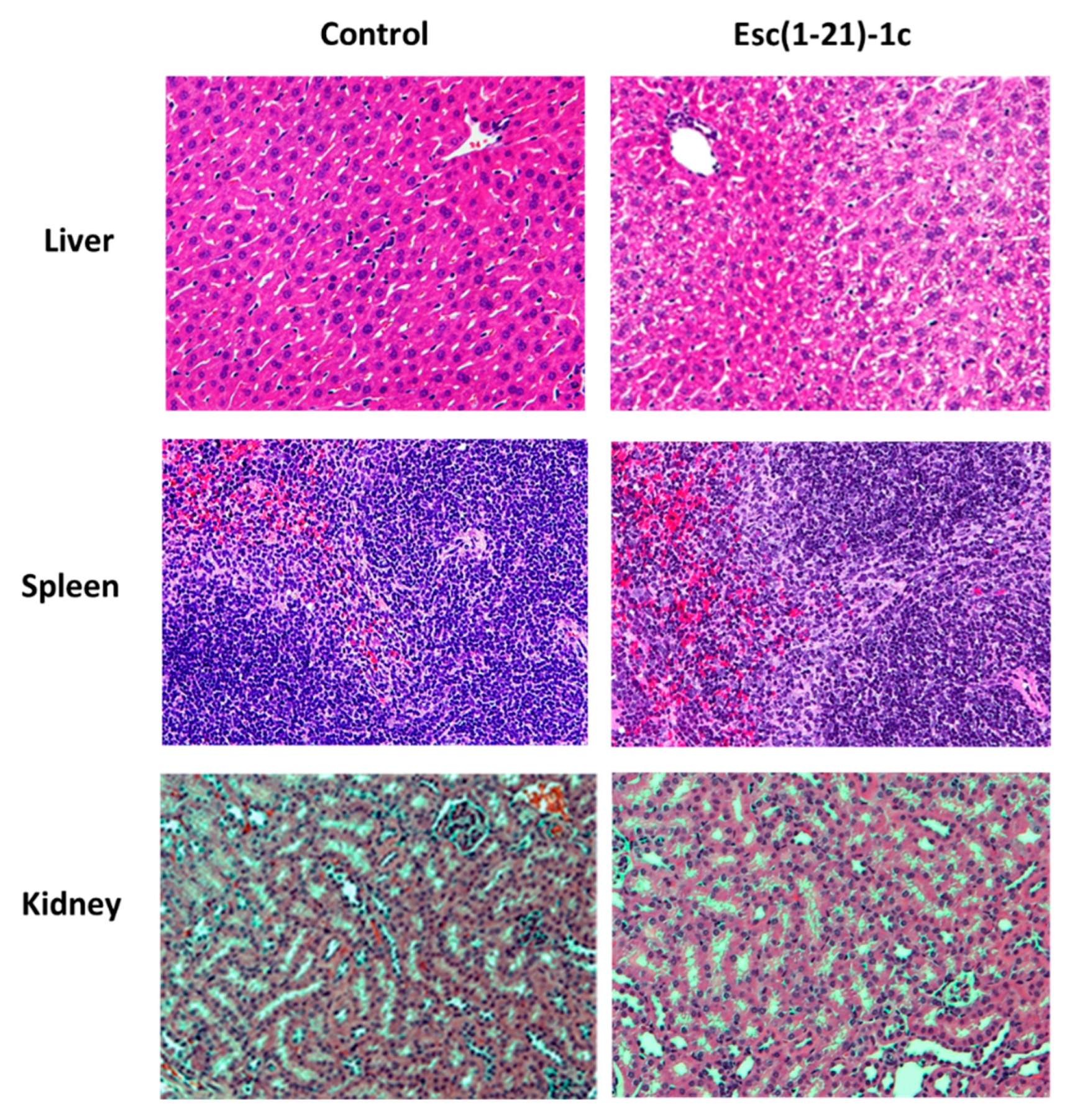 Pharmaceutics 14 02297 g006 Pharmaceutics 14 02297 g006