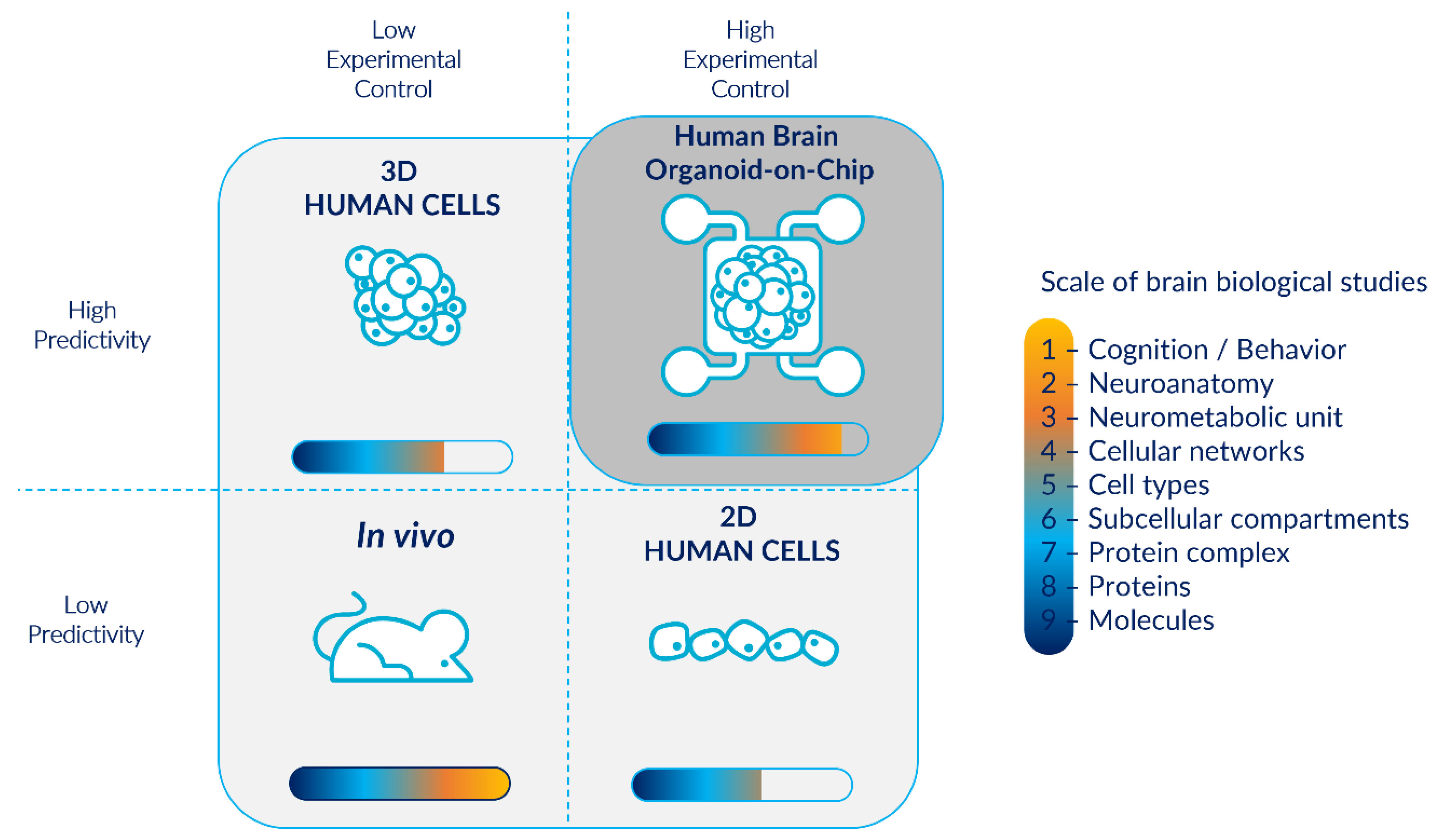 Pharmaceutics 14 02301 g001 Pharmaceutics 14 02301 g001