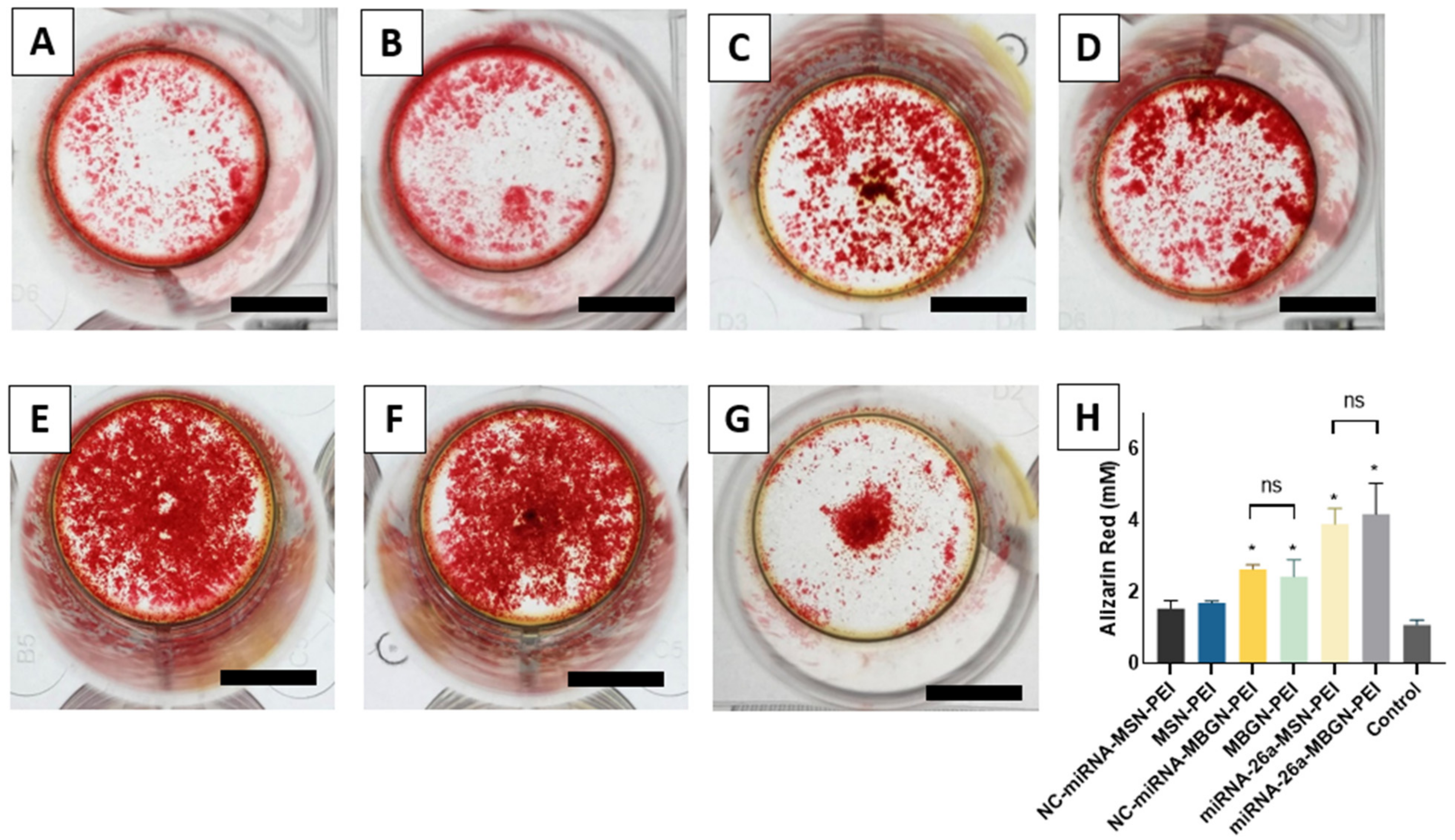 Pharmaceutics 14 02302 g008