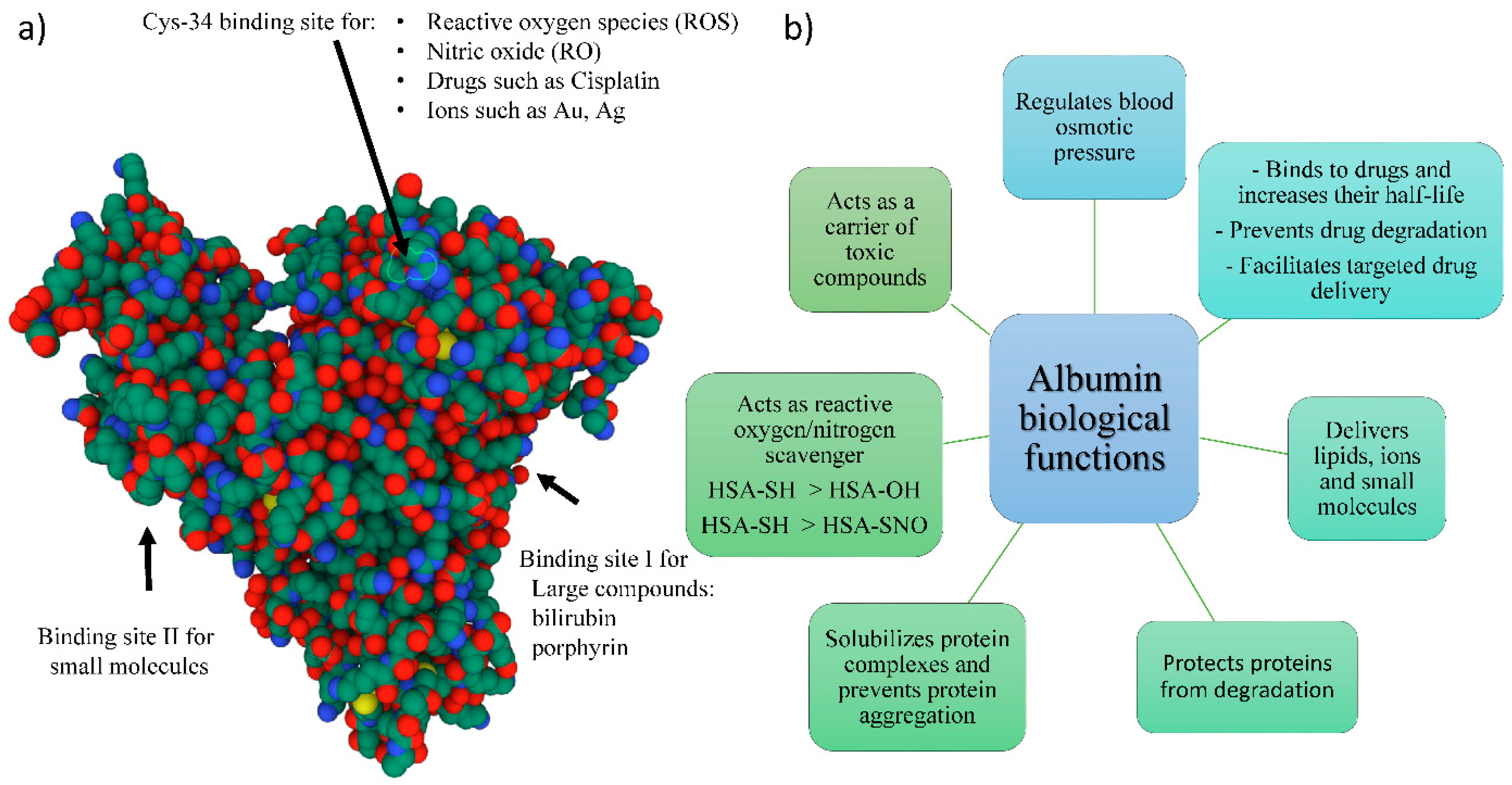 Pharmaceutics 14 02306 g001 Pharmaceutics 14 02306 g001