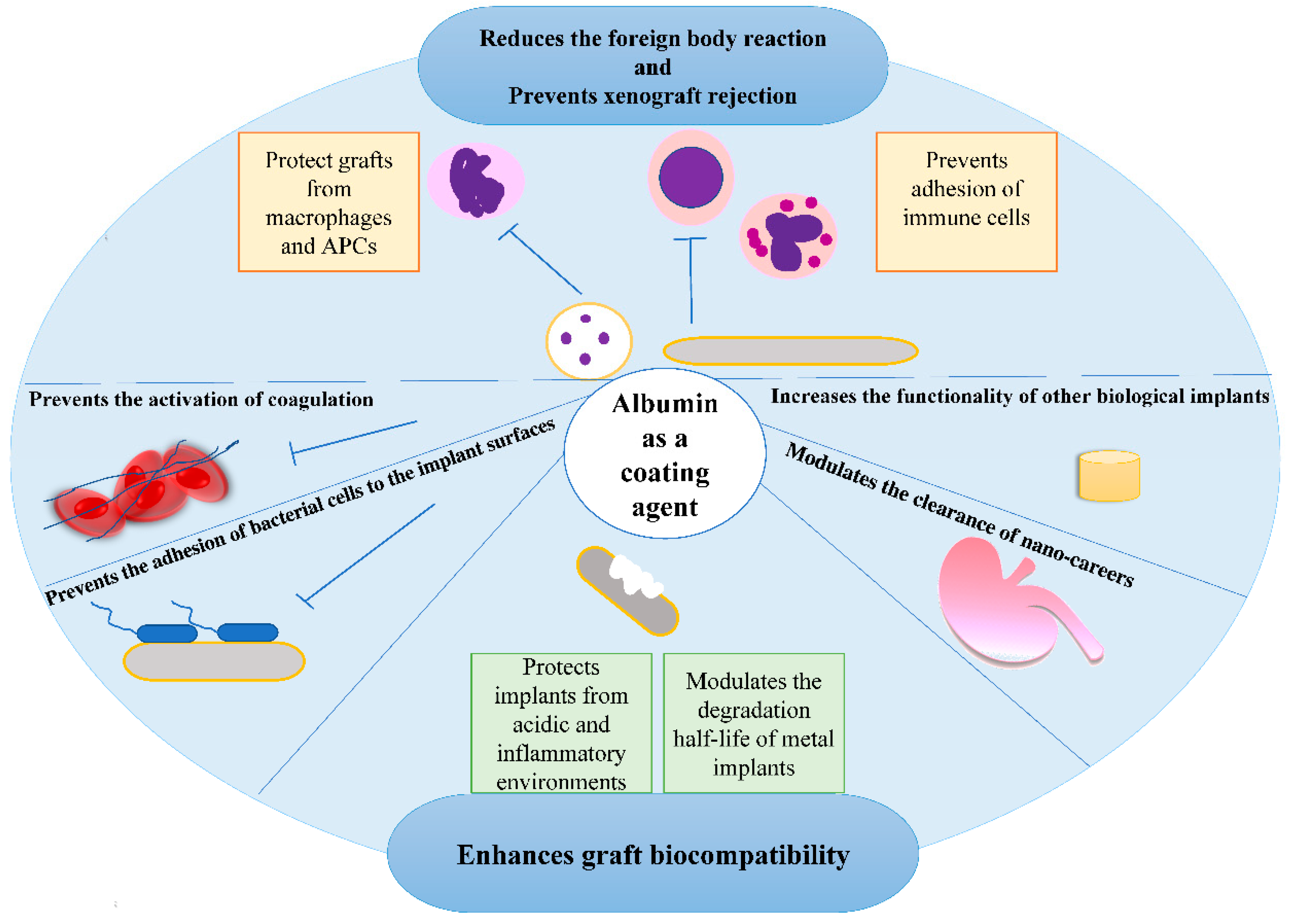 Pharmaceutics 14 02306 g002 Pharmaceutics 14 02306 g002