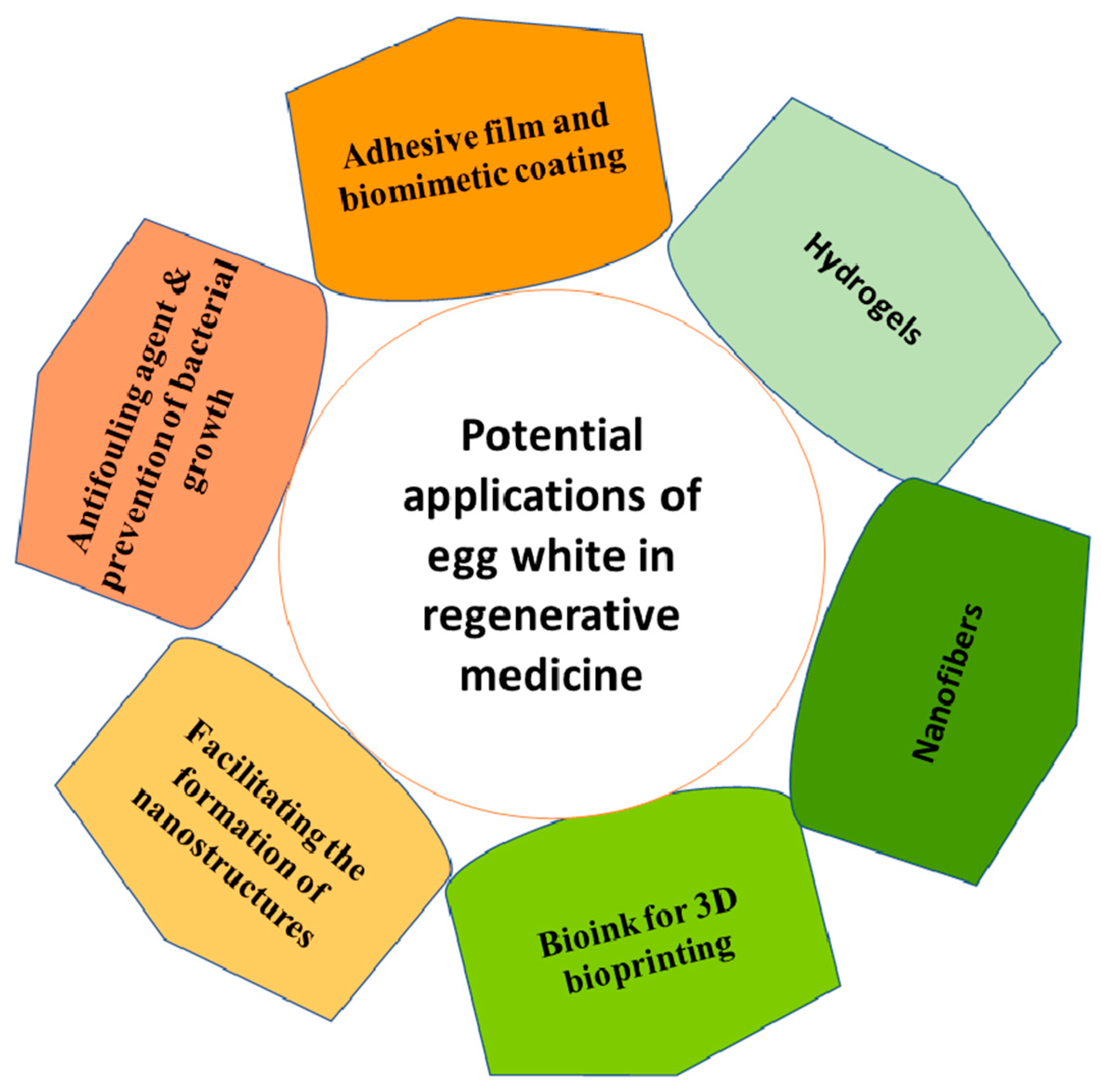 Pharmaceutics 14 02306 g007 Pharmaceutics 14 02306 g007