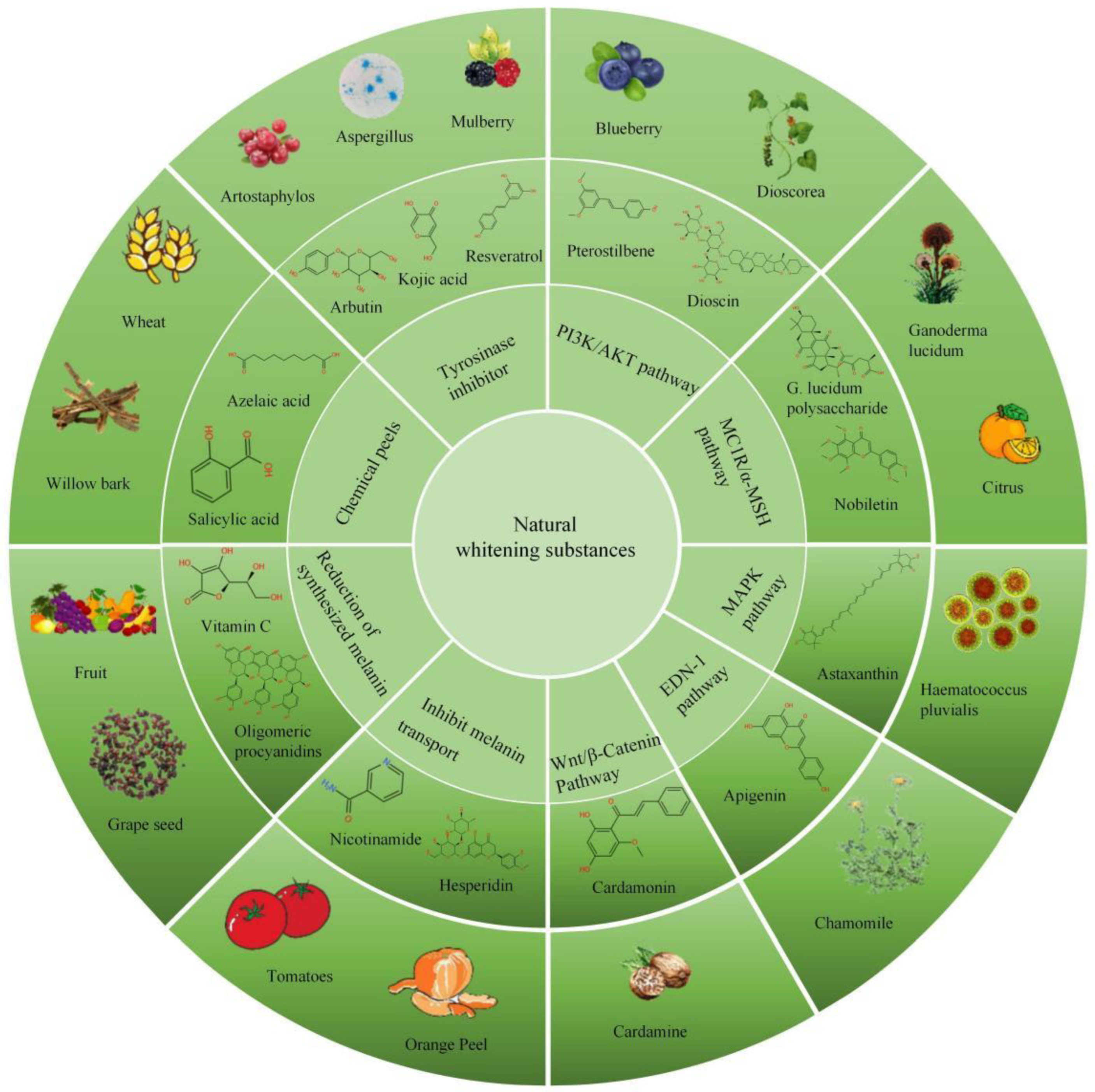 Pharmaceutics 14 02308 g003 Pharmaceutics 14 02308 g003