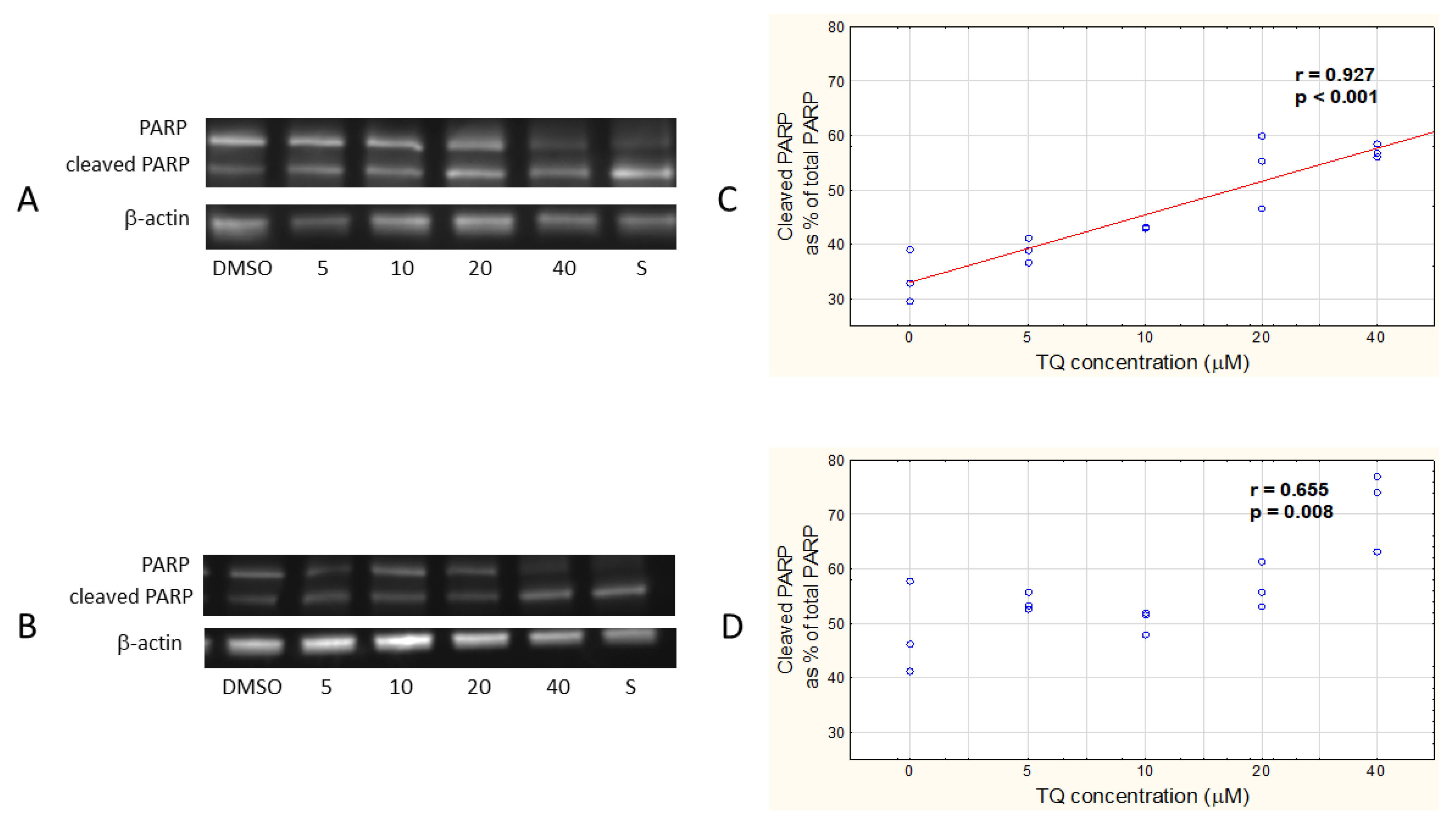 Pharmaceutics 14 02309 g004