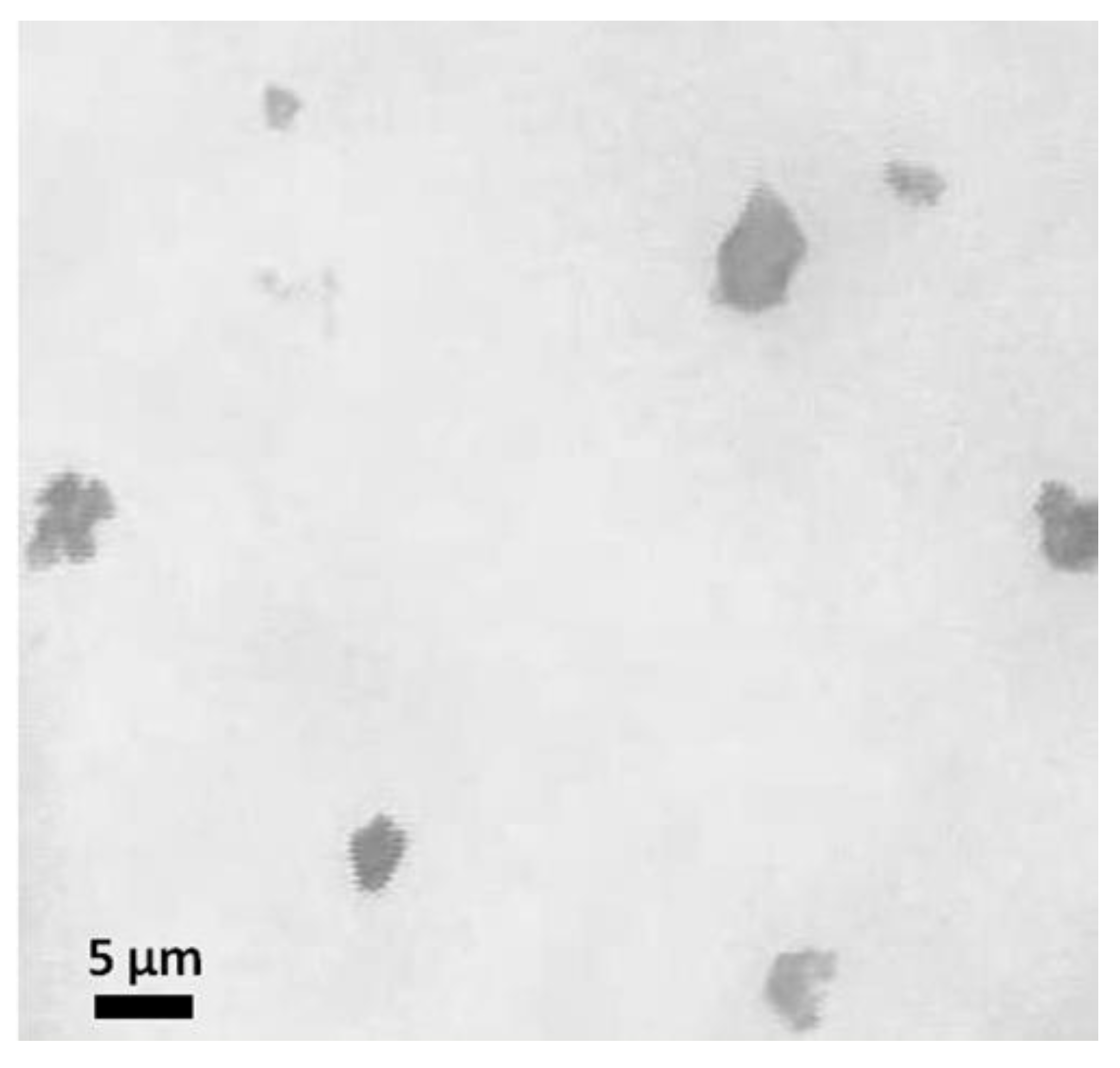 Pharmaceutics 14 02313 g001