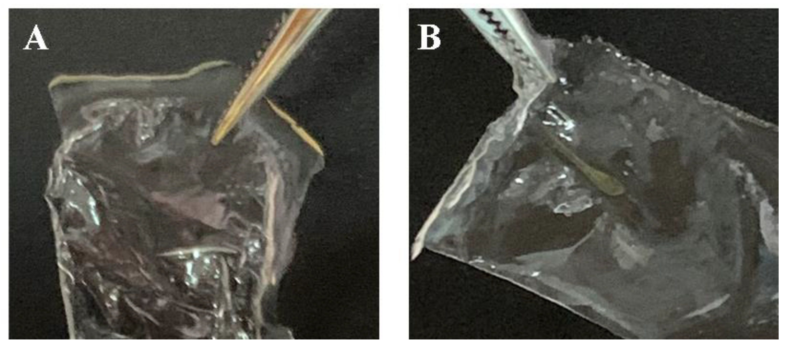 Pharmaceutics 14 02313 g002