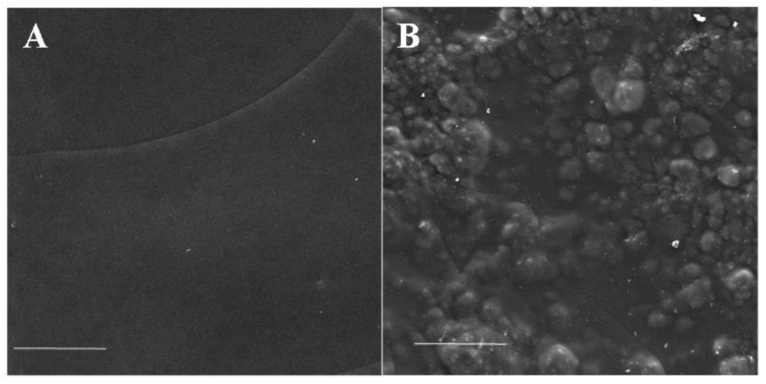 Pharmaceutics 14 02313 g003
