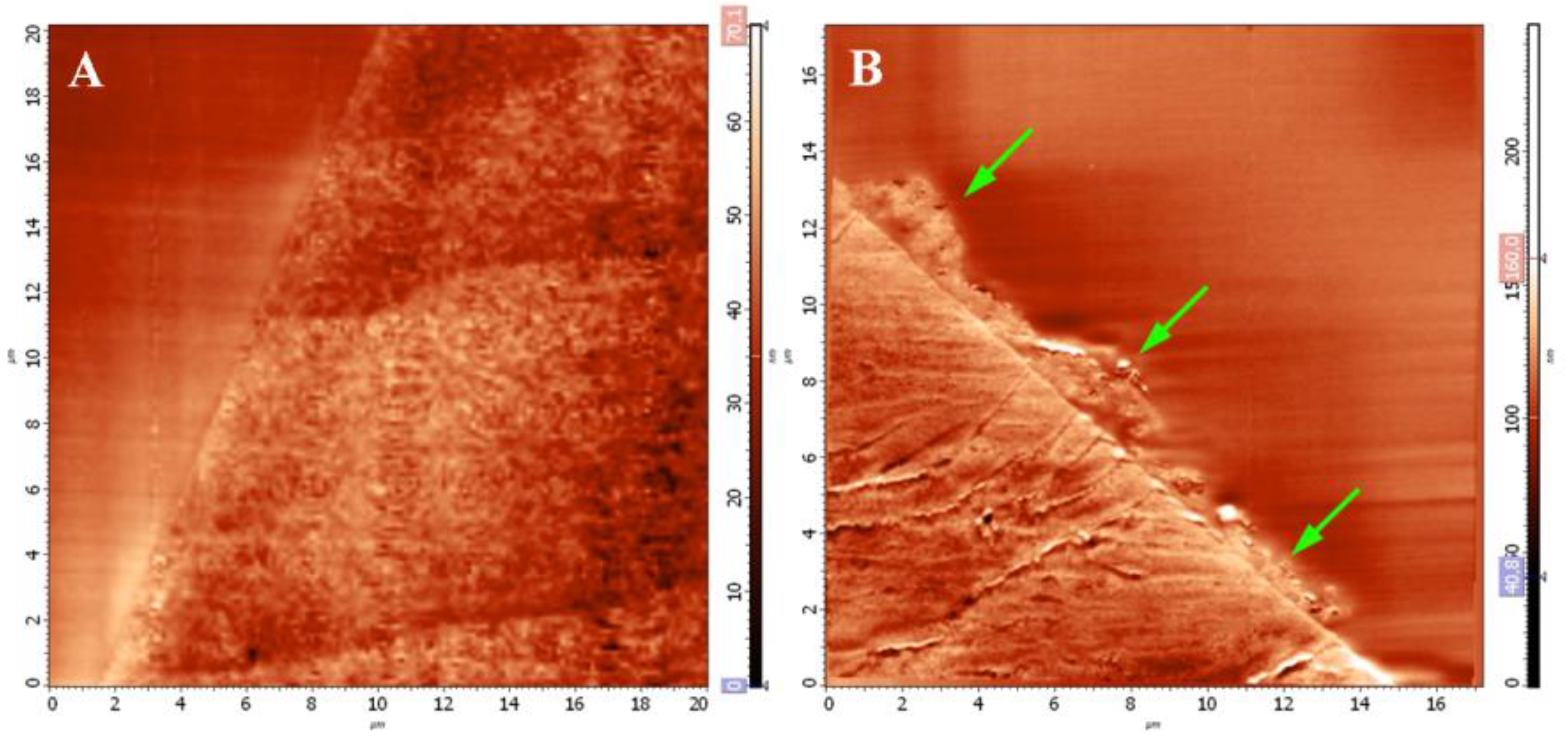 Pharmaceutics 14 02313 g004