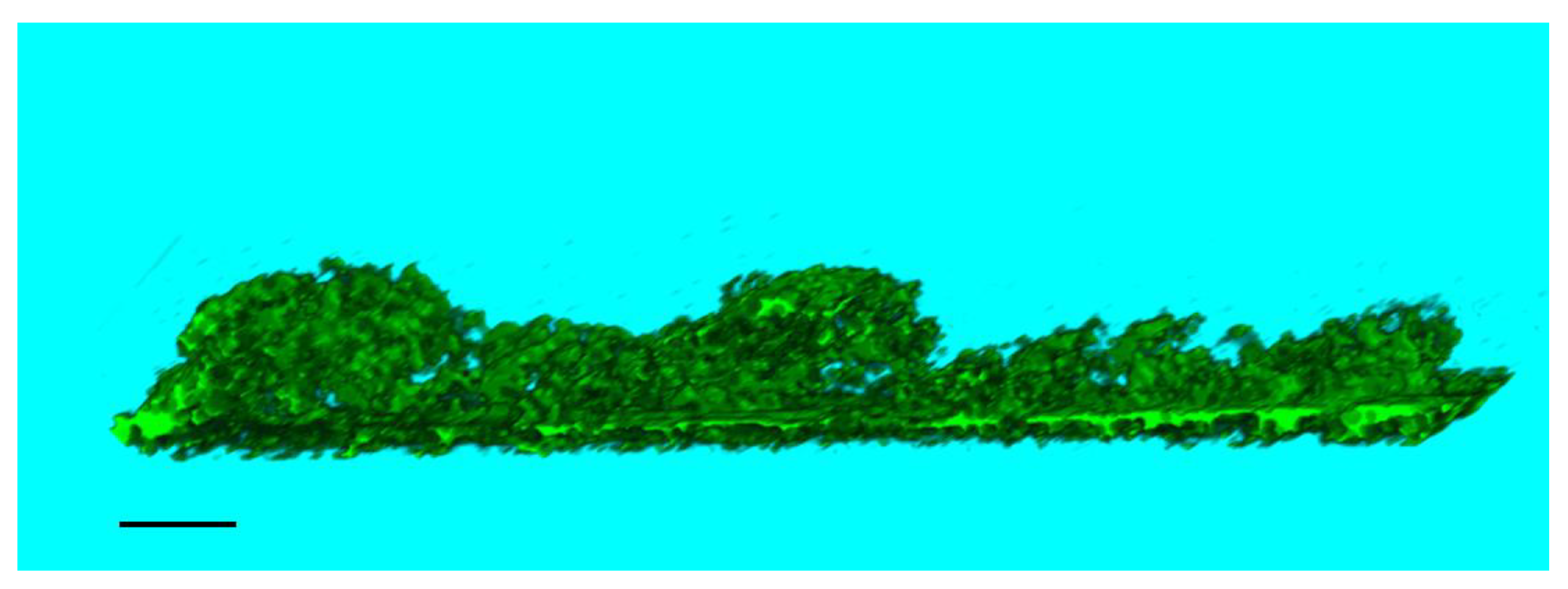 Pharmaceutics 14 02313 g005