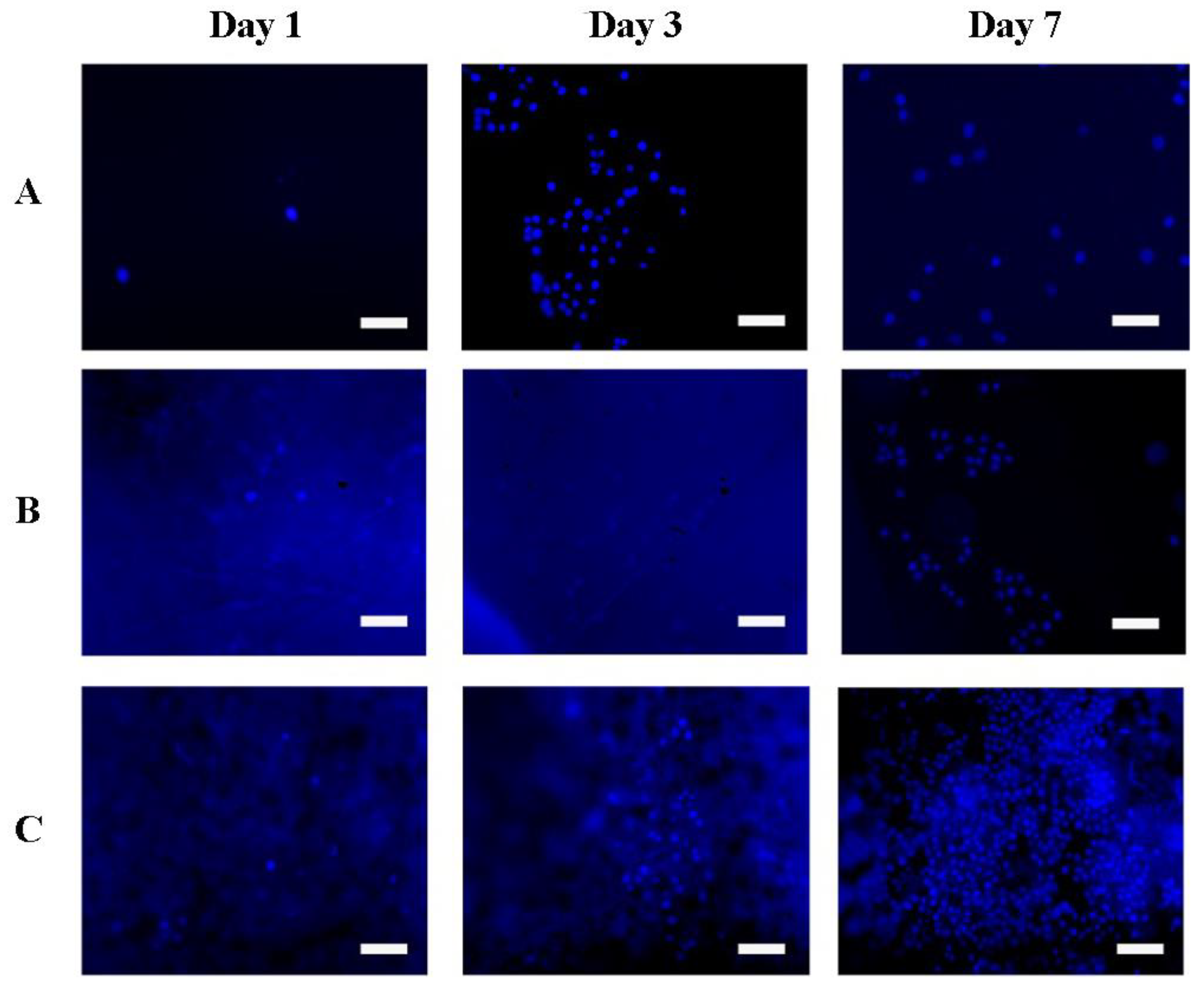 Pharmaceutics 14 02313 g007