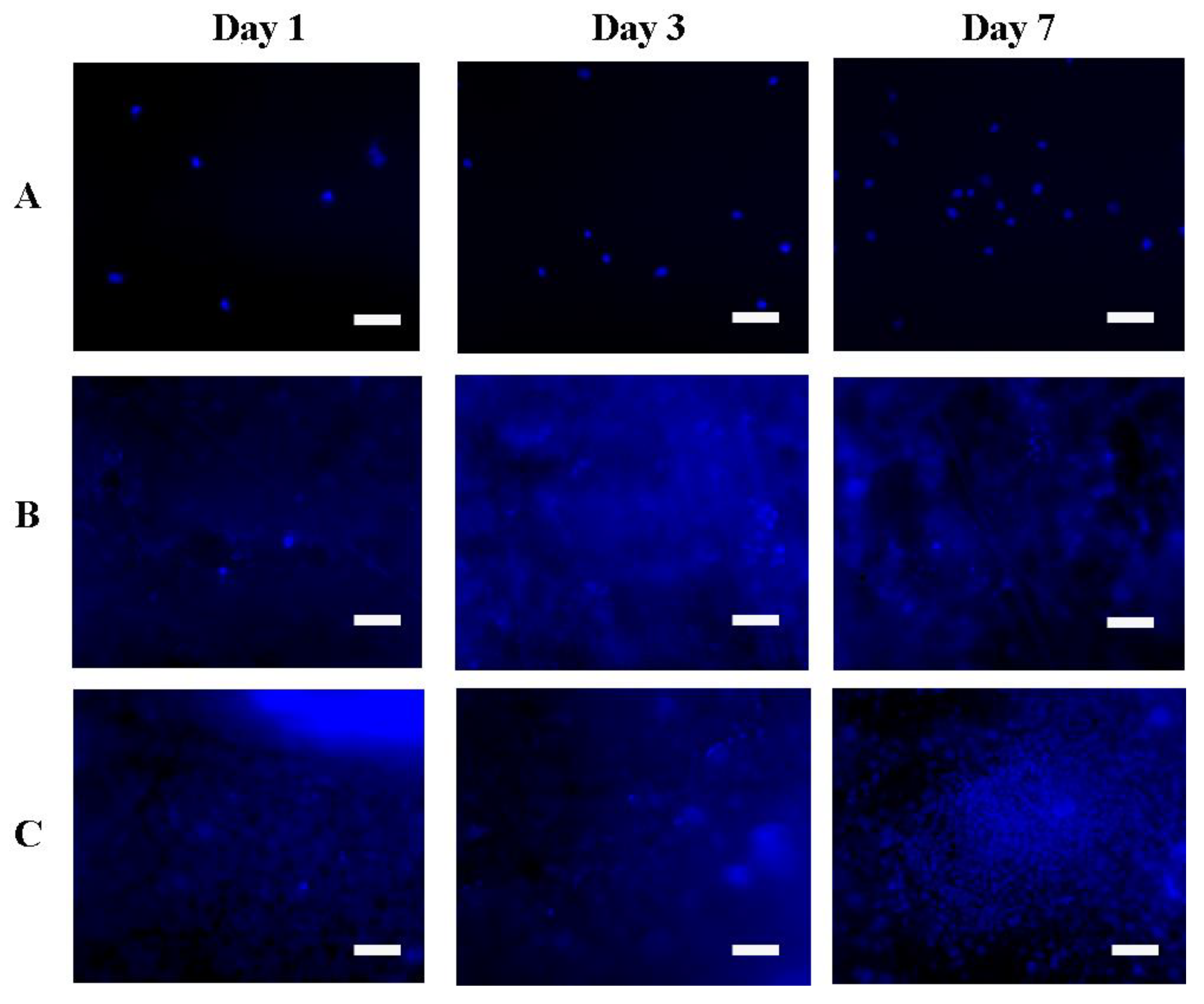 Pharmaceutics 14 02313 g008