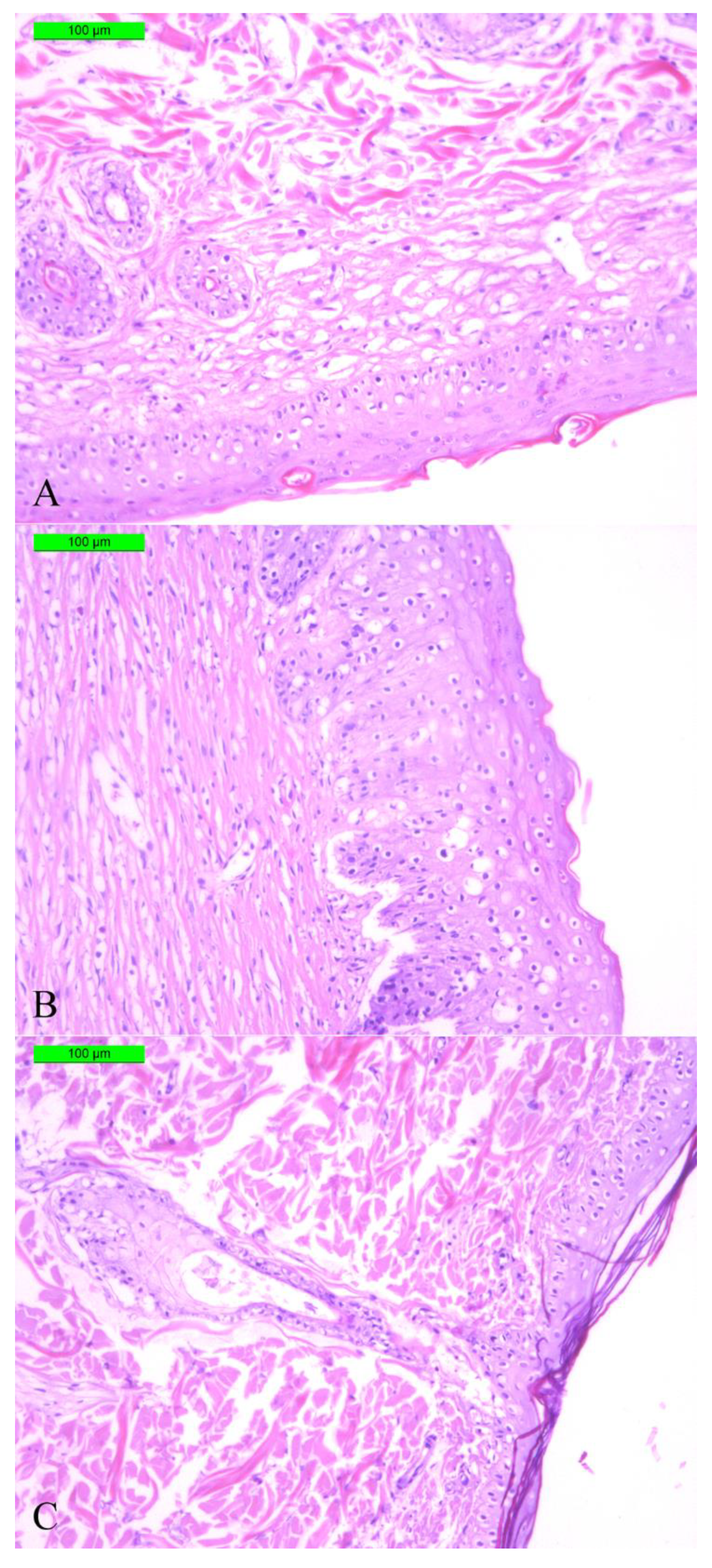 Pharmaceutics 14 02313 g013