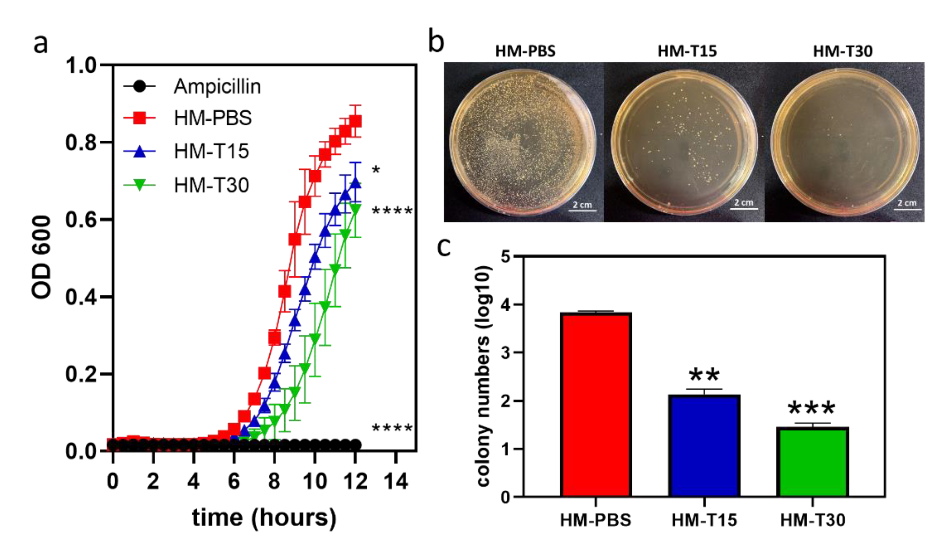 Pharmaceutics 14 02314 g004 550