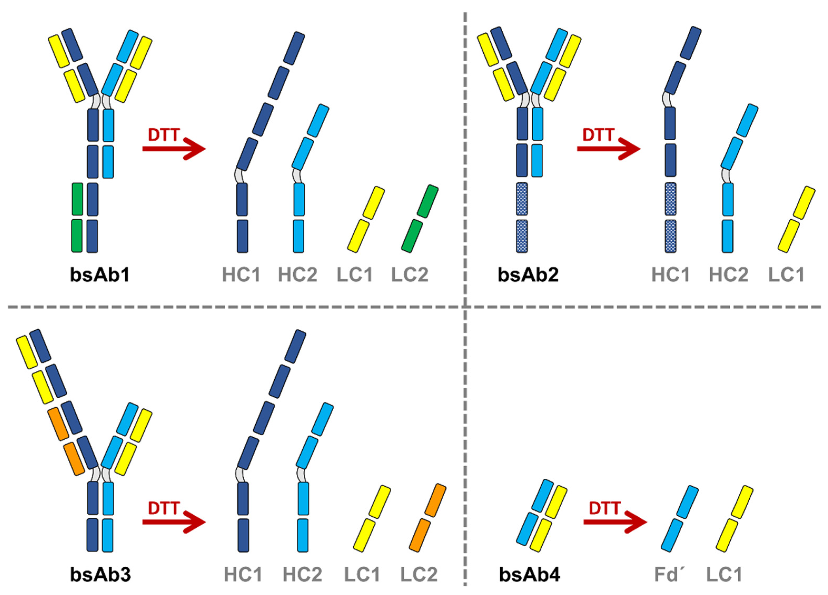 Pharmaceutics 14 02315 g001