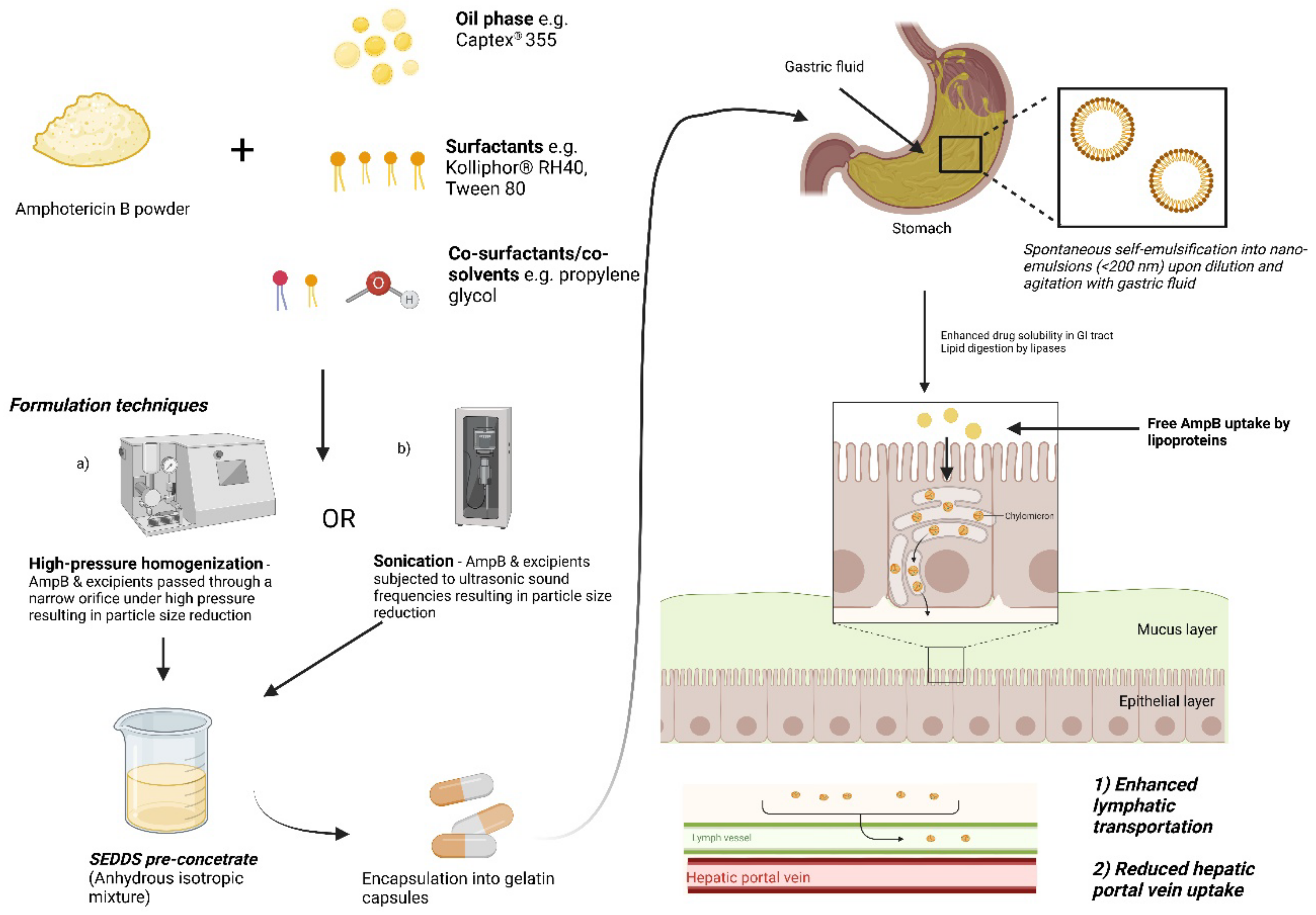 Pharmaceutics 14 02316 g003 Pharmaceutics 14 02316 g003