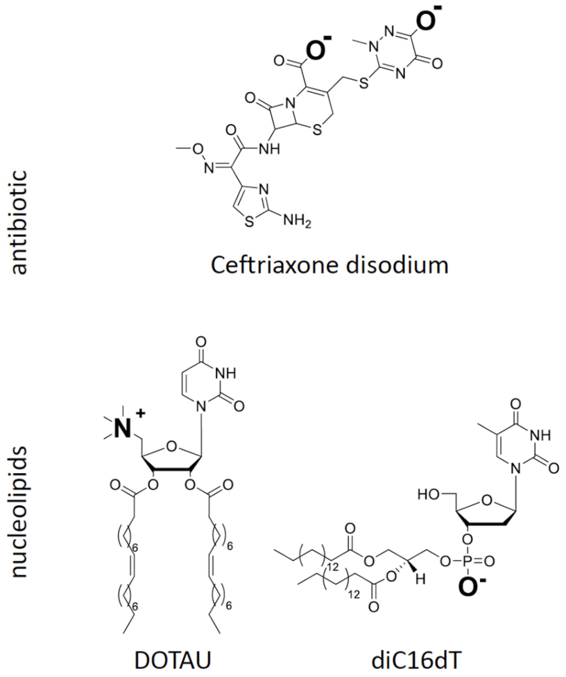 Pharmaceutics 14 02317 i001
