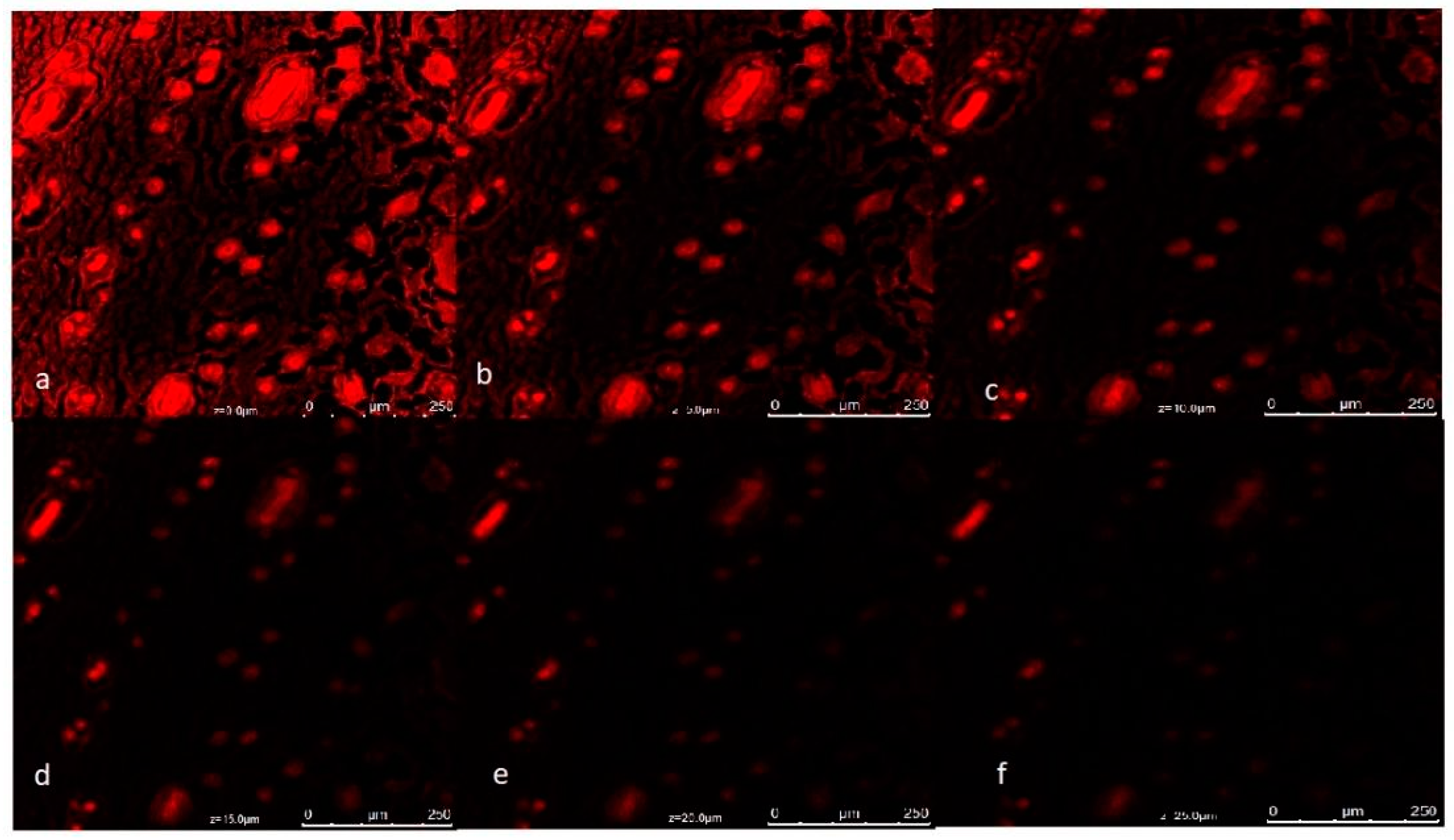 Pharmaceutics 14 02322 g007 Pharmaceutics 14 02322 g007