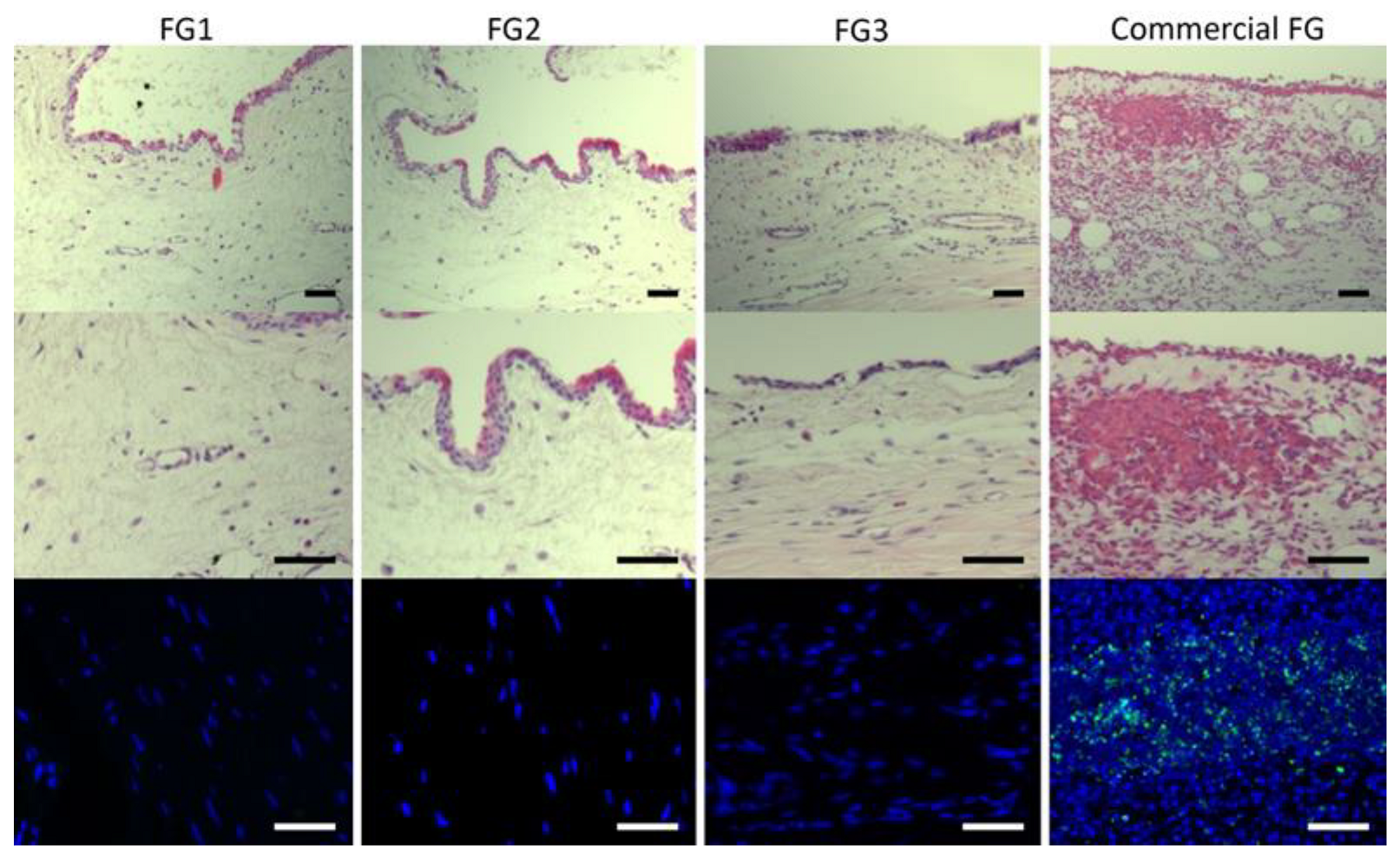 Pharmaceutics 14 02325 g005 Pharmaceutics 14 02325 g005