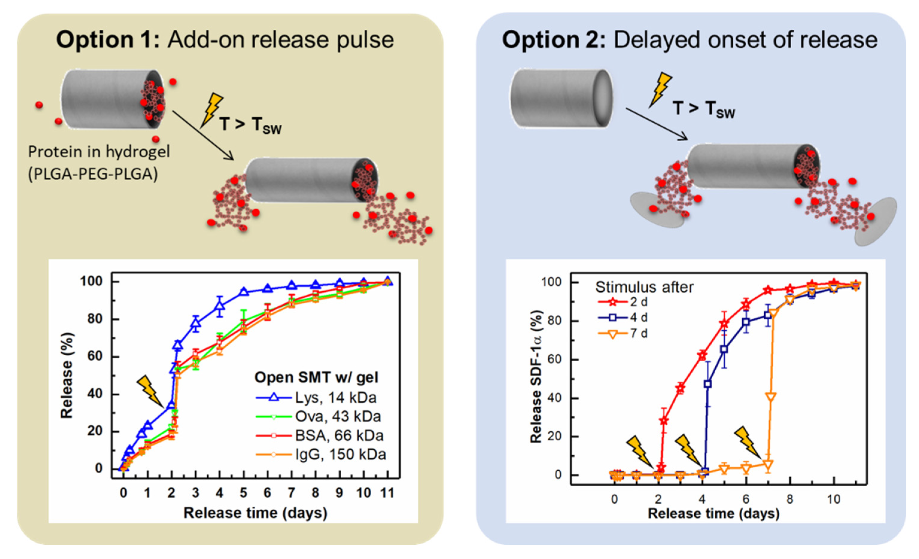 Pharmaceutics 14 02331 g005 Pharmaceutics 14 02331 g005