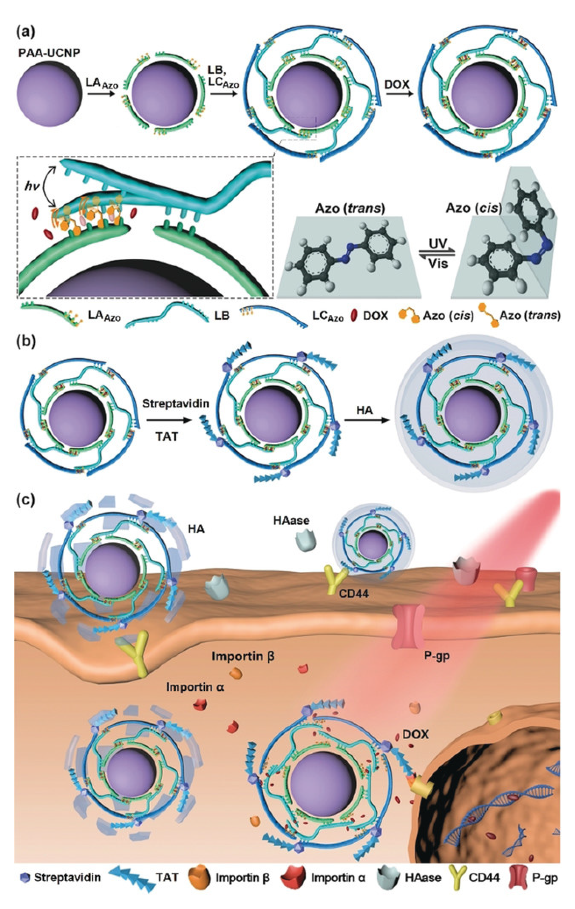 Pharmaceutics 14 02331 g007 Pharmaceutics 14 02331 g007
