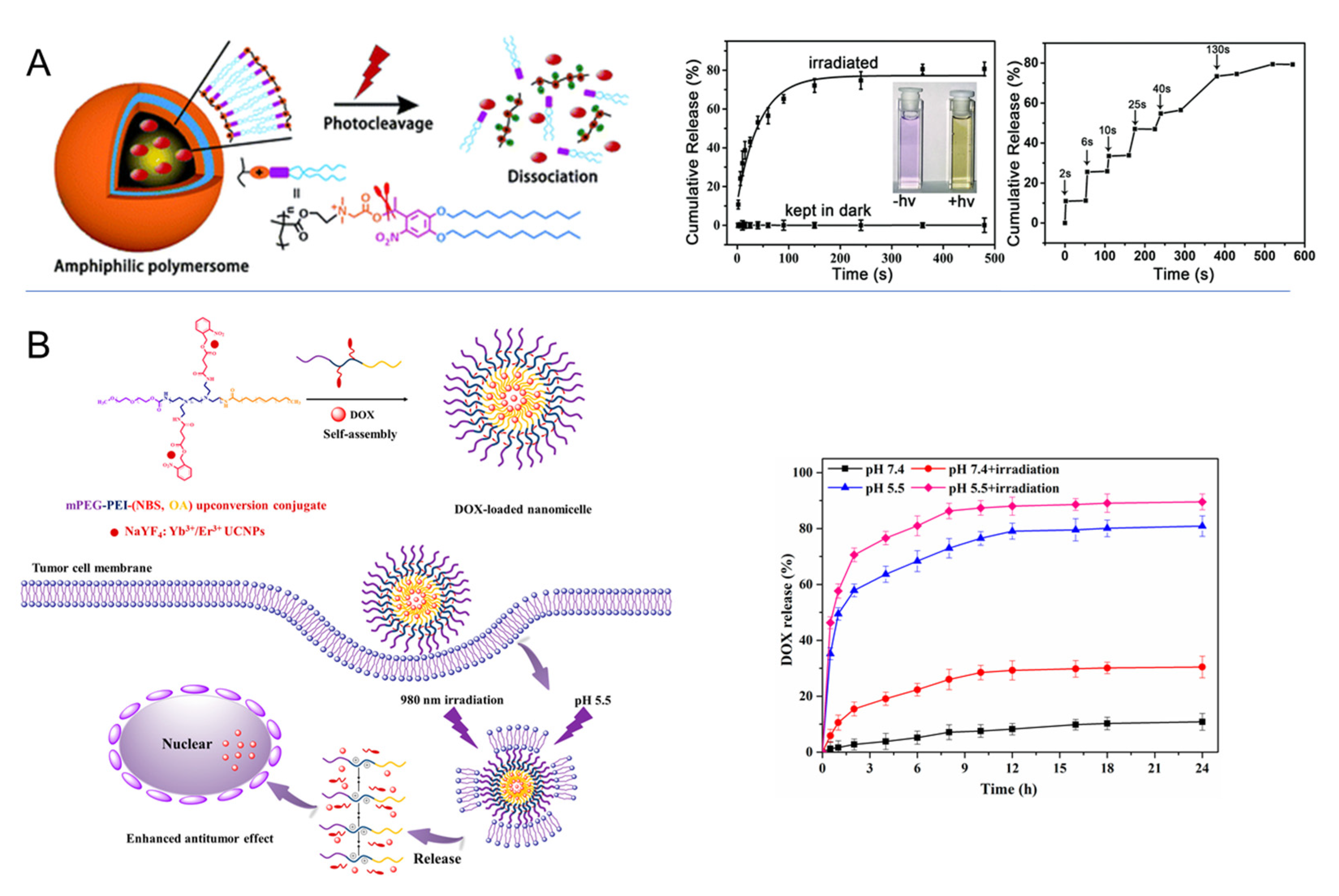 Pharmaceutics 14 02331 g008 Pharmaceutics 14 02331 g008
