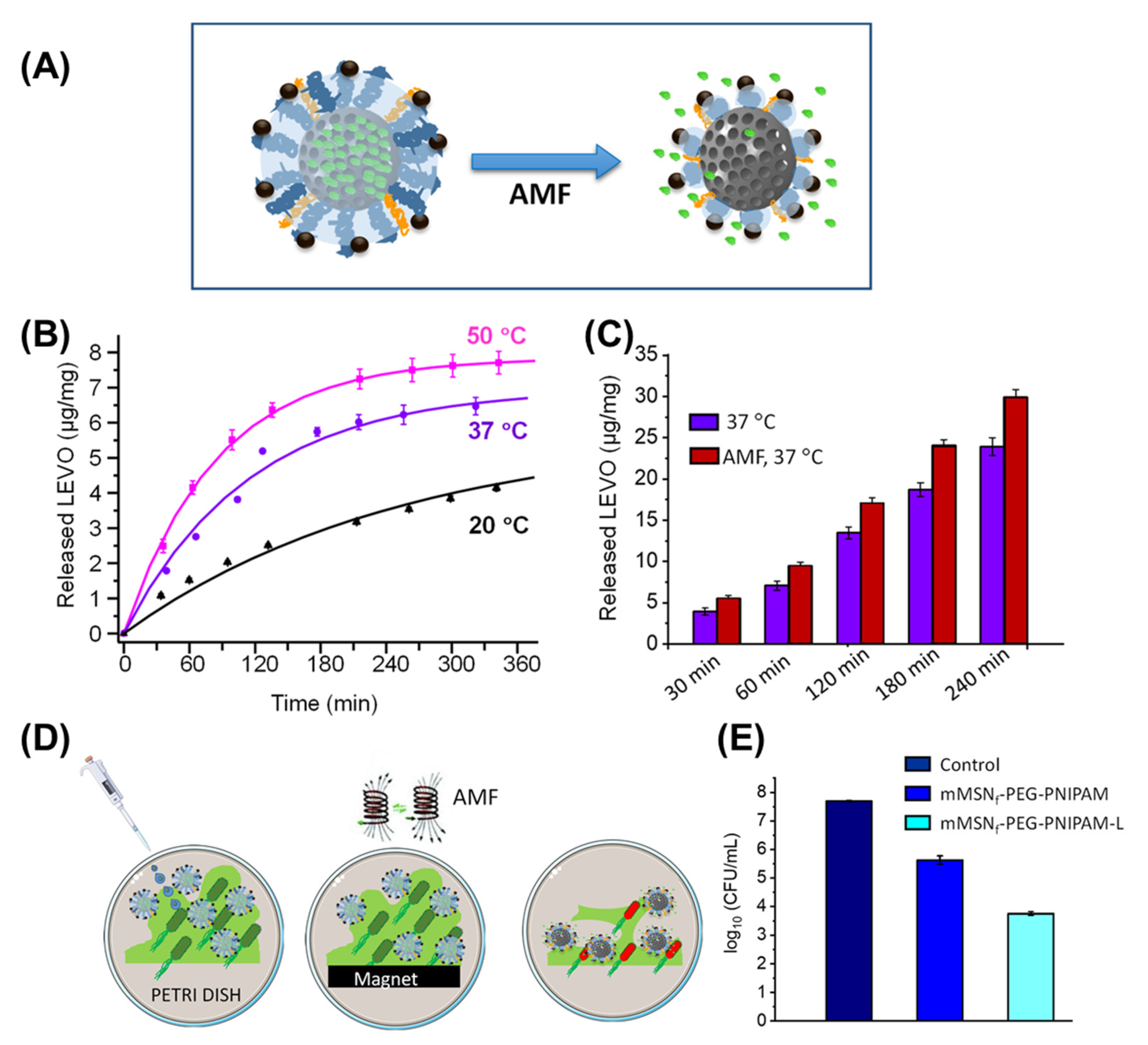 Pharmaceutics 14 02331 g009 Pharmaceutics 14 02331 g009