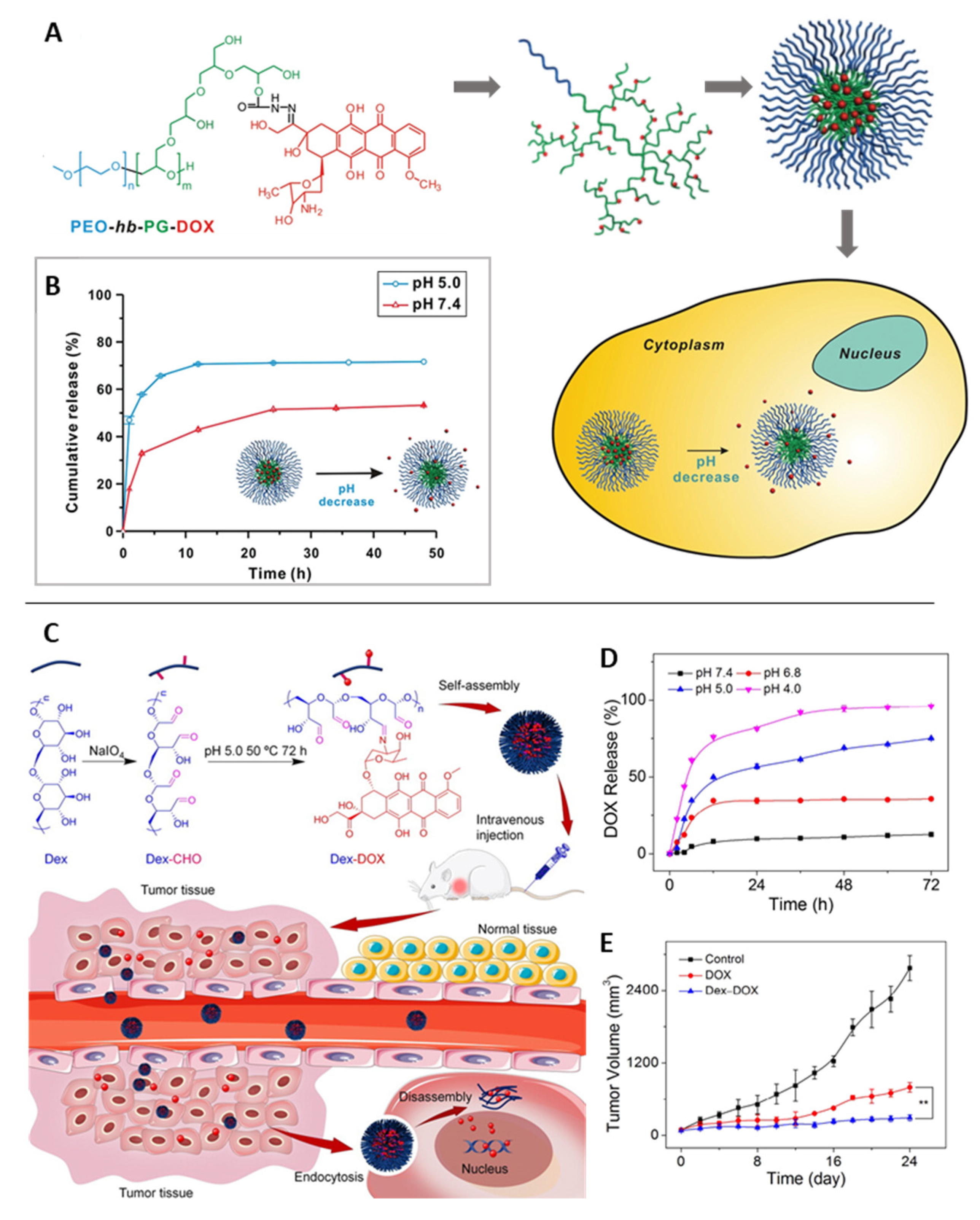 Pharmaceutics 14 02331 g012 Pharmaceutics 14 02331 g012