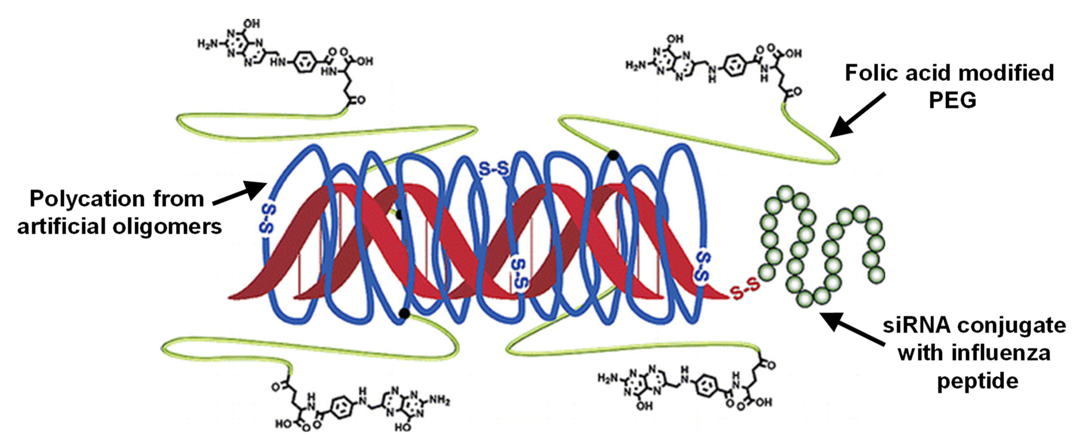 Pharmaceutics 14 02331 g014 Pharmaceutics 14 02331 g014