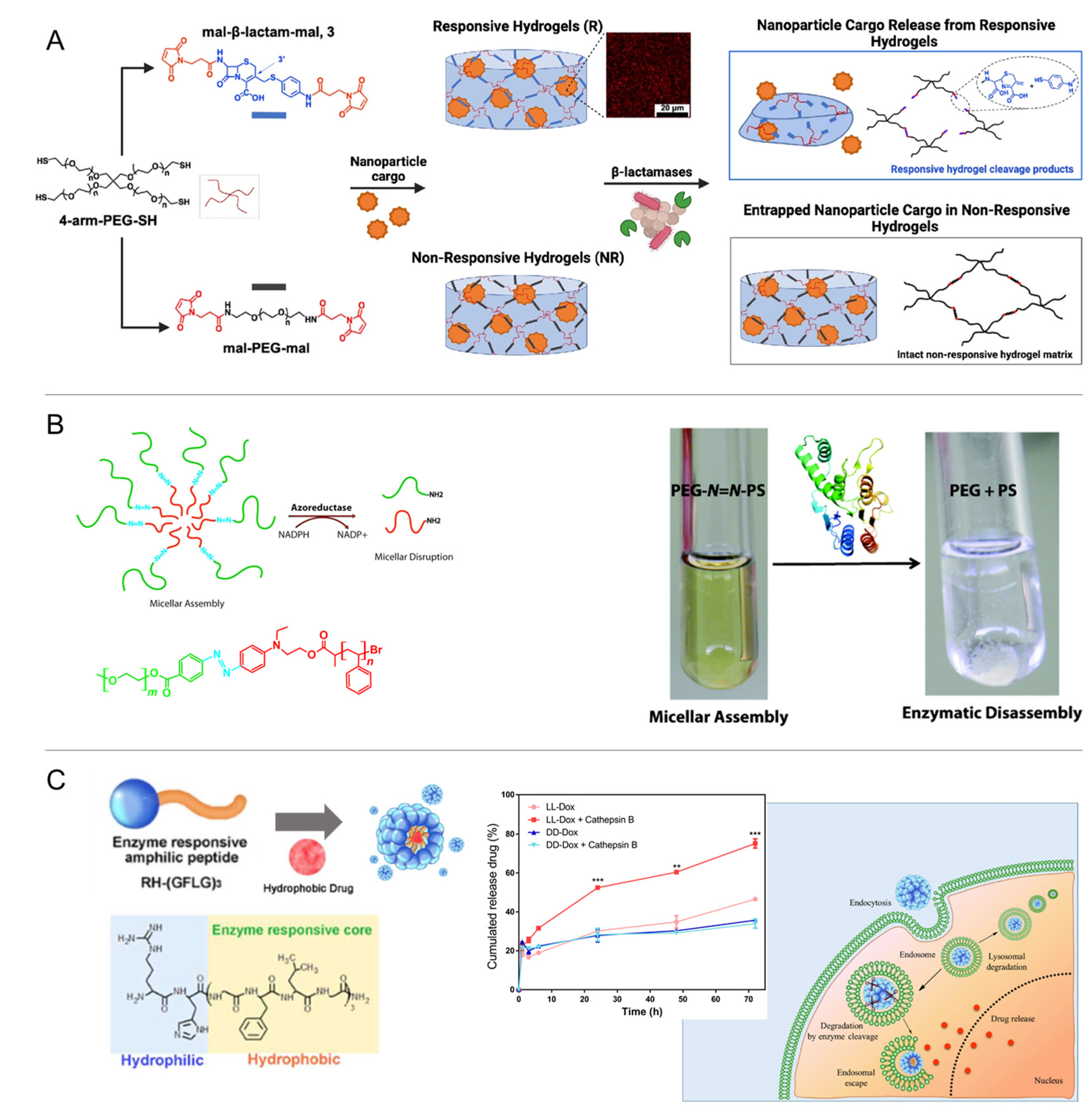 Pharmaceutics 14 02331 g016 Pharmaceutics 14 02331 g016