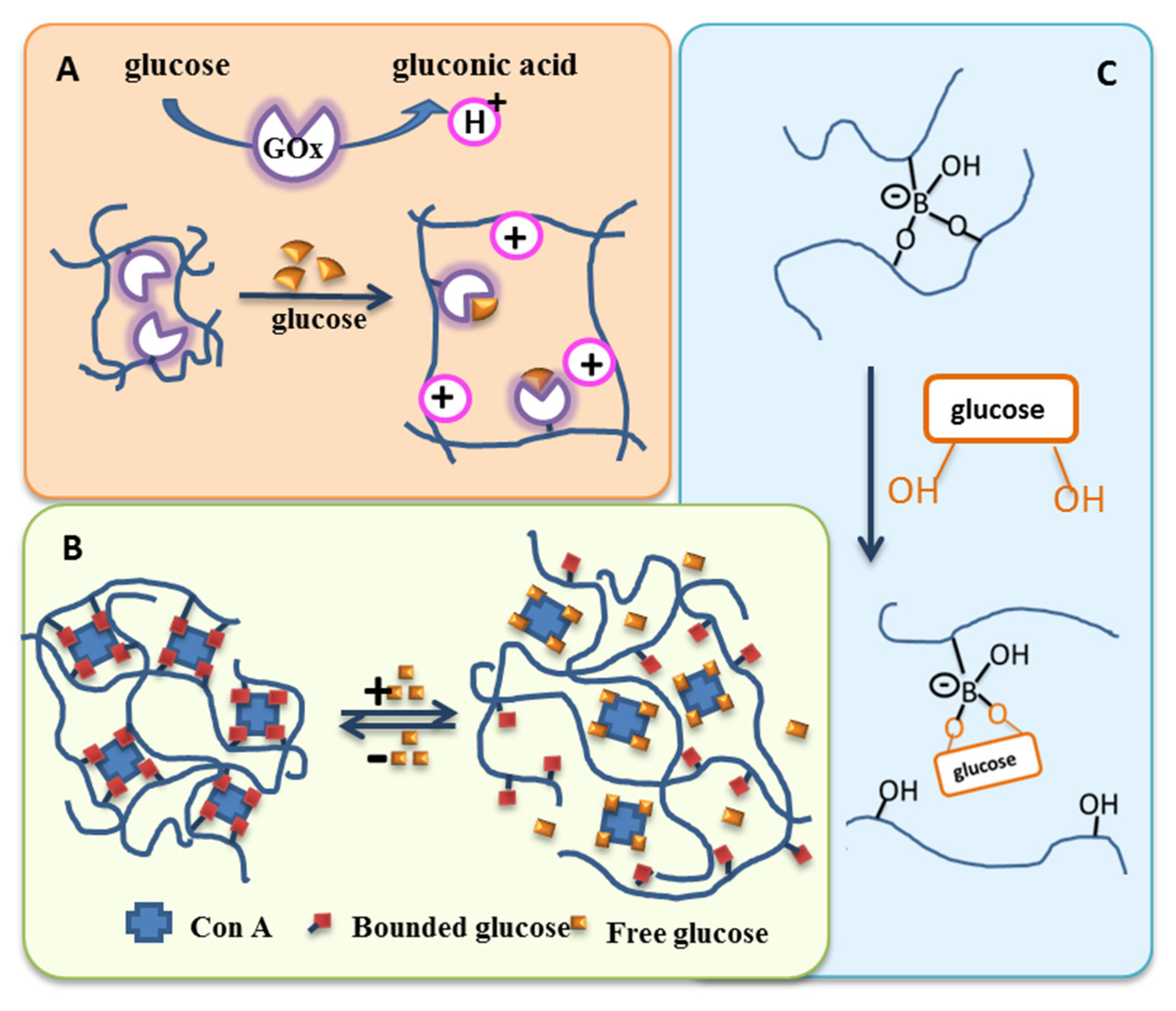 Pharmaceutics 14 02331 g017 Pharmaceutics 14 02331 g017