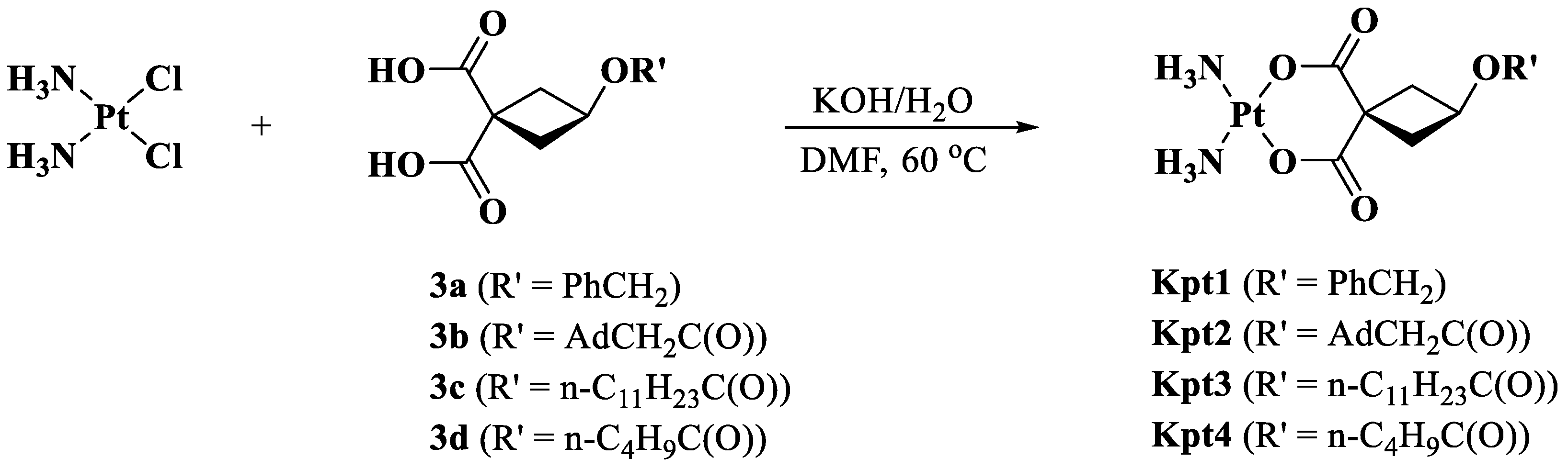 Pharmaceutics 14 02333 g005 Pharmaceutics 14 02333 g005