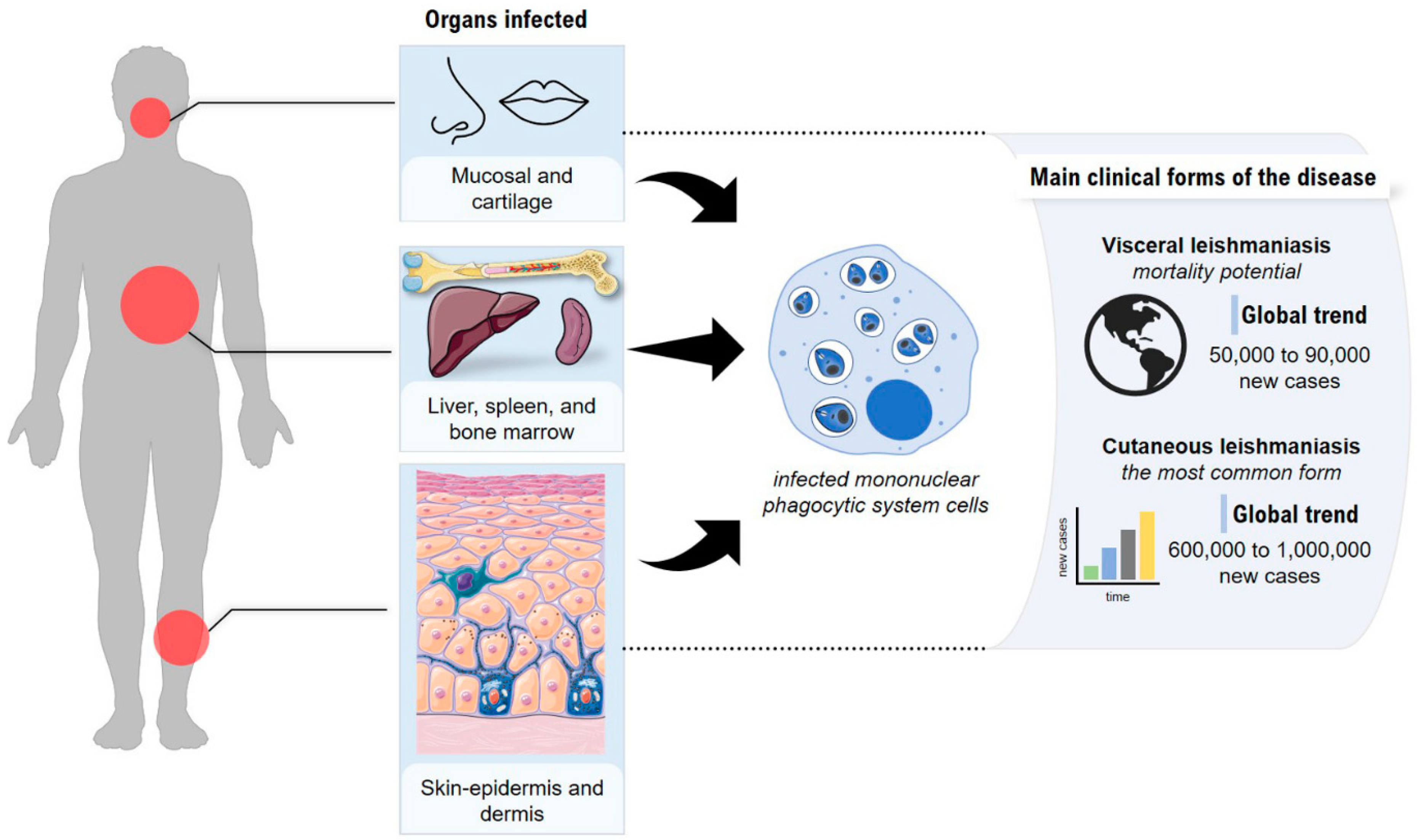 Pharmaceutics 14 02339 g001