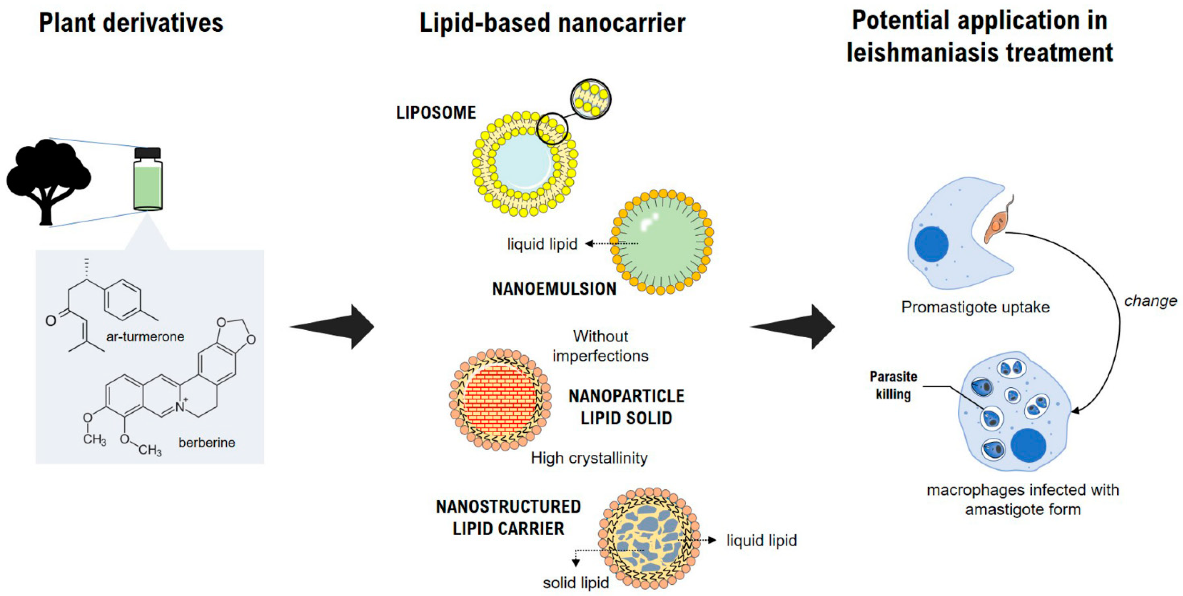 Pharmaceutics 14 02339 g003