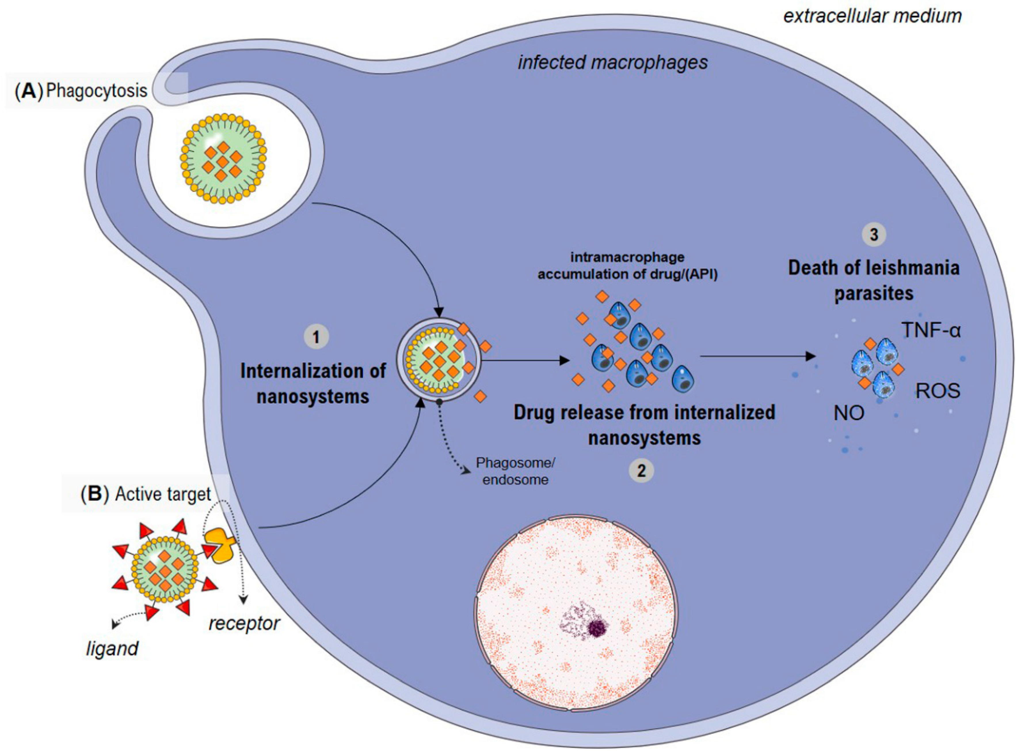 Pharmaceutics 14 02339 g005